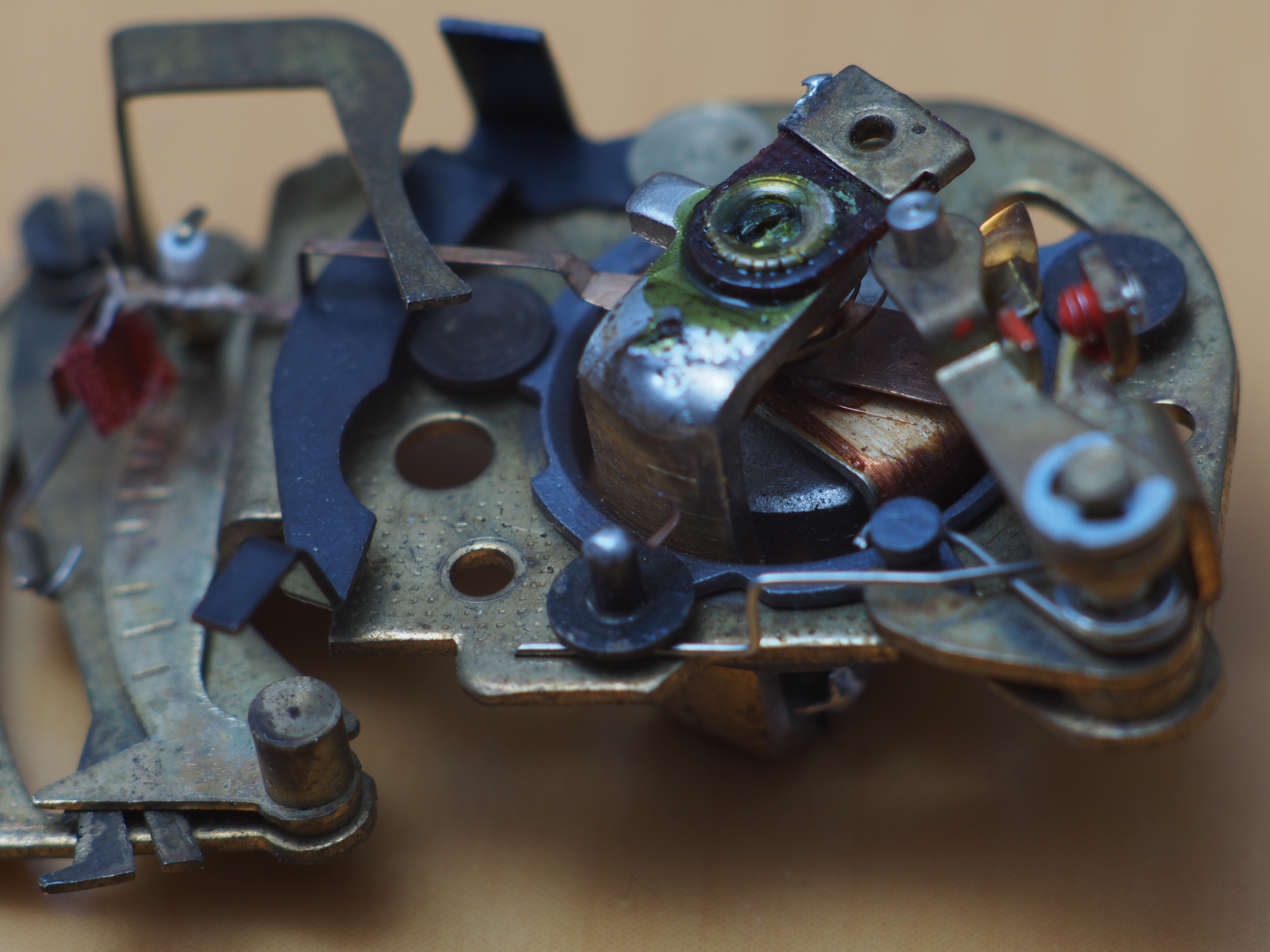 F5.6 / Vivitar 135mm F2.8 Close Focusing