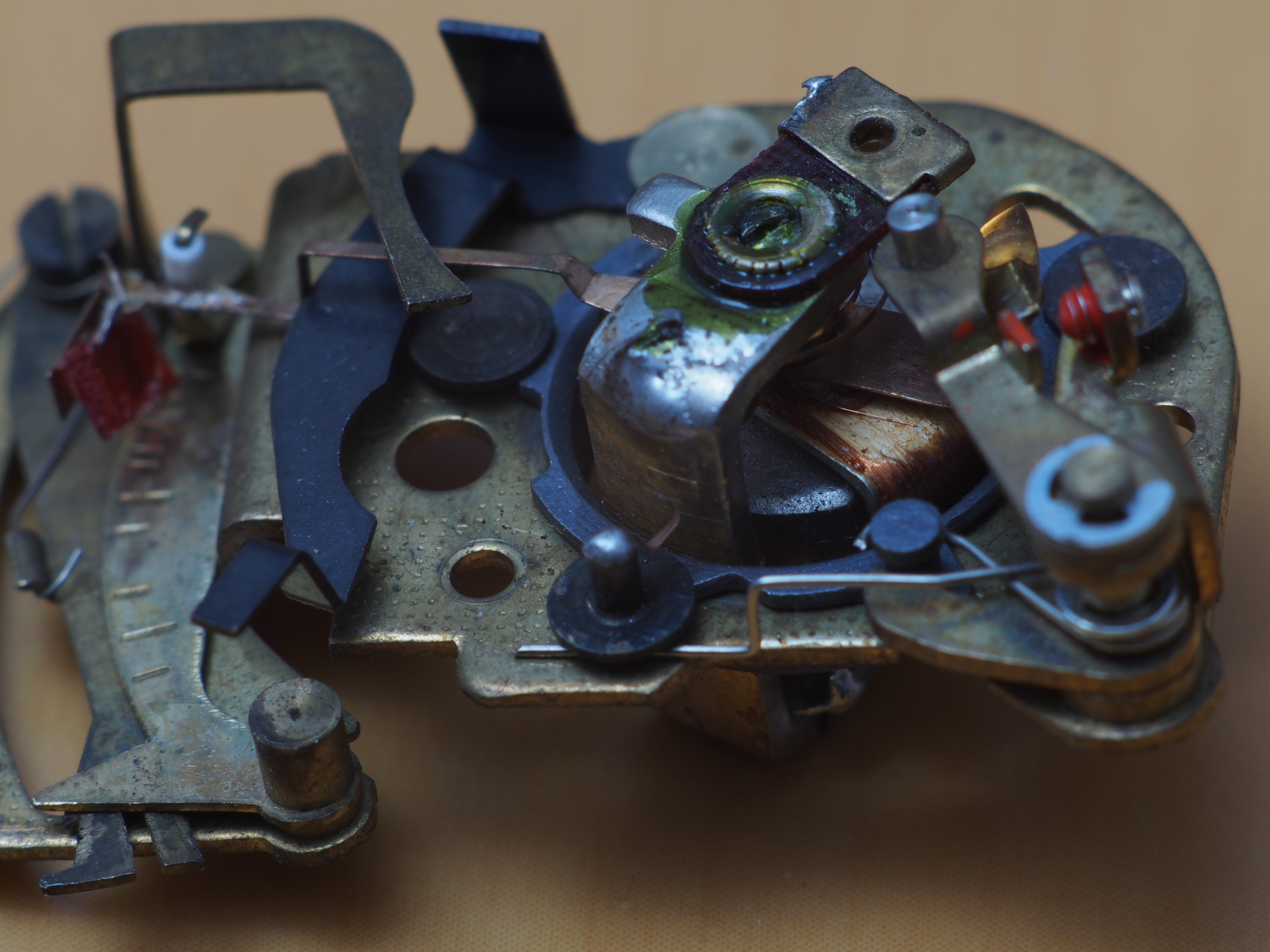 F8 / Vivitar 135mm F2.8 Close Focusing