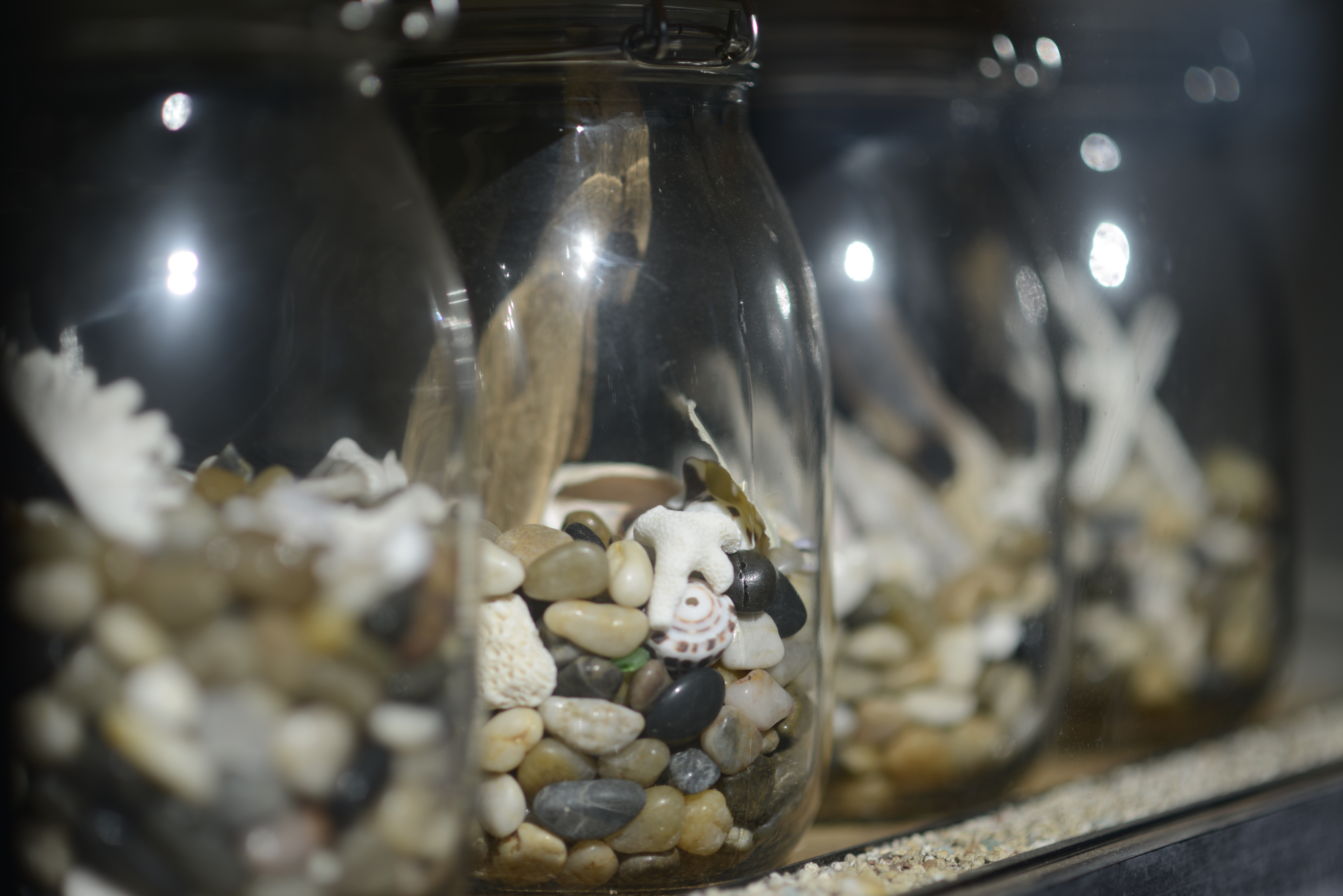 D800 / AF-S NIKKOR 85mm F1.8 G / 約10.7MB / 7,360×4,912 / 1/5,000秒 / F1.8 / -0.3EV / ISO100 / 絞り優先AE / WB：オート / 85mm