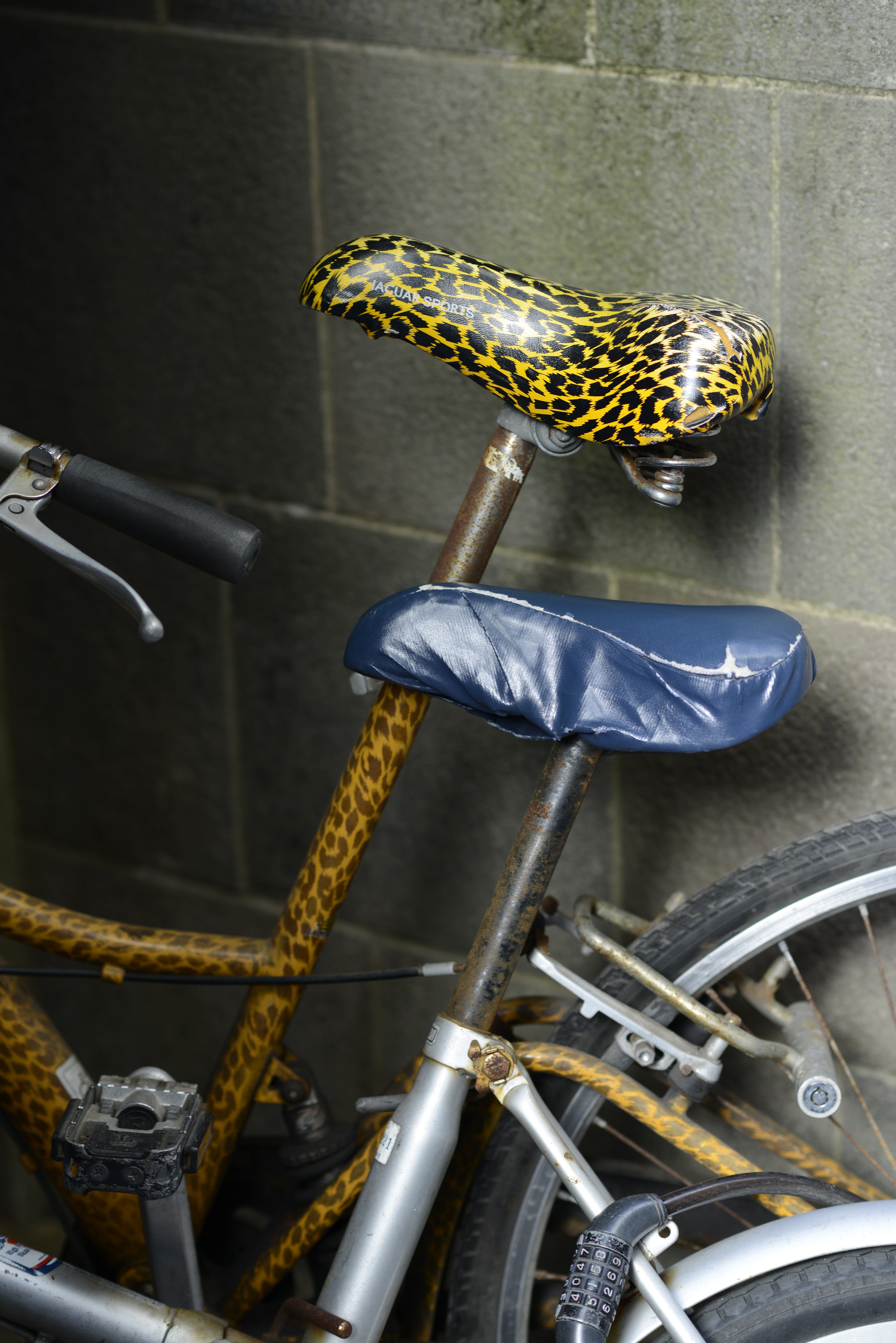 D800 / AF-S NIKKOR 85mm F1.8 G / 約12.9MB / 4,912×7,360 / 1/60秒 / F2.8 / -1EV / ISO100 / 絞り優先AE / WB：オート / 85mm