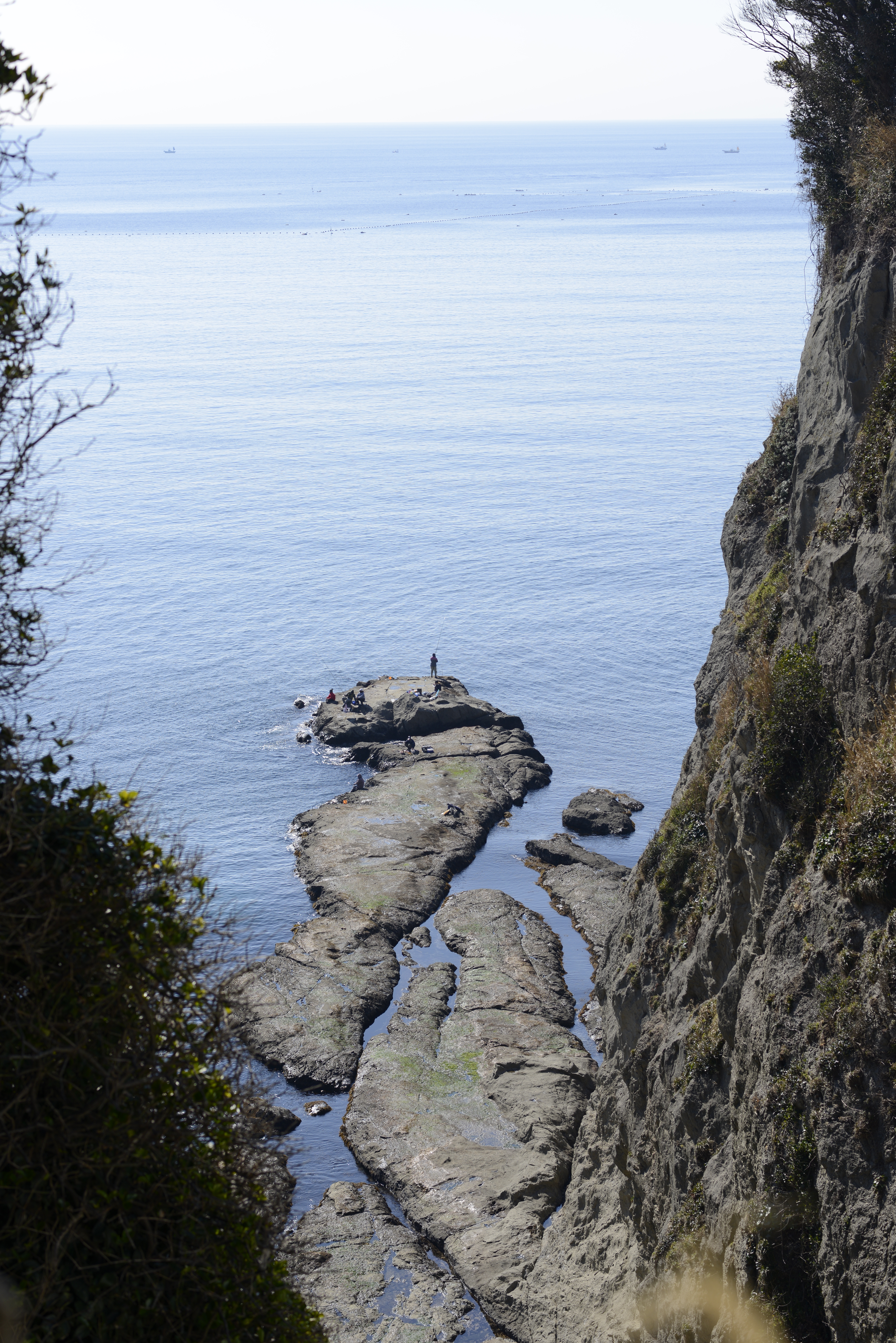 D800 / AF-S NIKKOR 85mm F1.8 G / 約22.9MB / 4,912×7,360 / 1/500秒 / F5.6 / 0EV / ISO100 / 絞り優先AE / WB：オート / 85mm