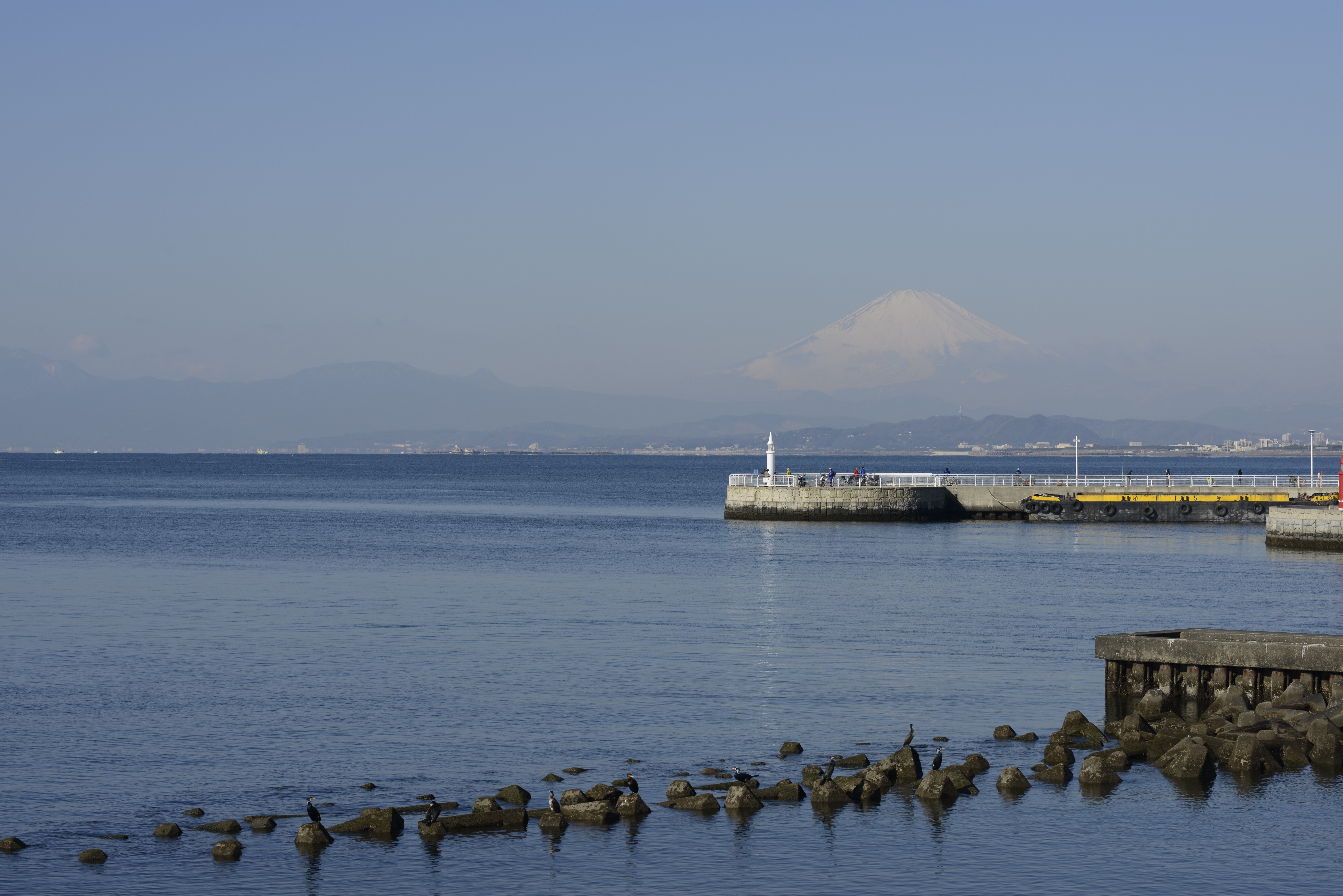 D800 / AF-S NIKKOR 85mm F1.8 G / 約14.2MB / 7,360×4,912 / 1/640秒 / F8 / -0.3EV / ISO100 / 絞り優先AE / WB：オート / 85mm