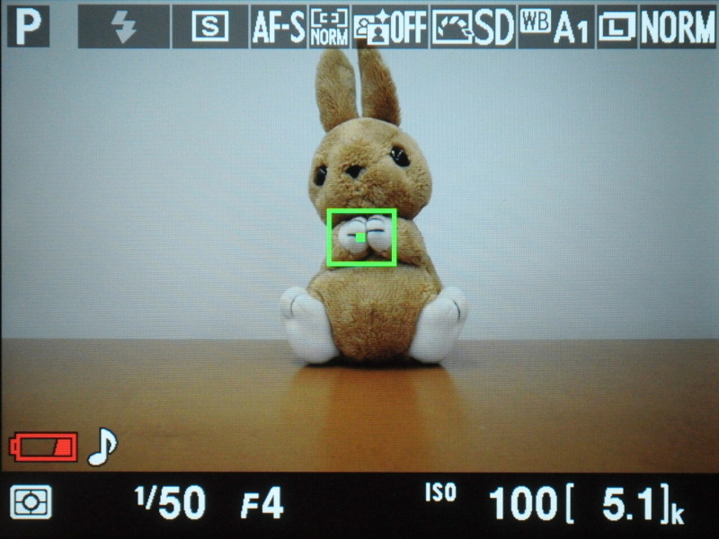 通常撮影時。シングルAFで合焦したところ