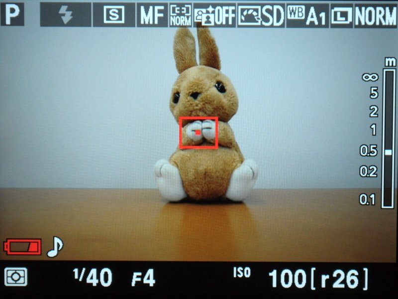 AF合焦後もピントリングの操作でMF可能。右側に距離指標が出る