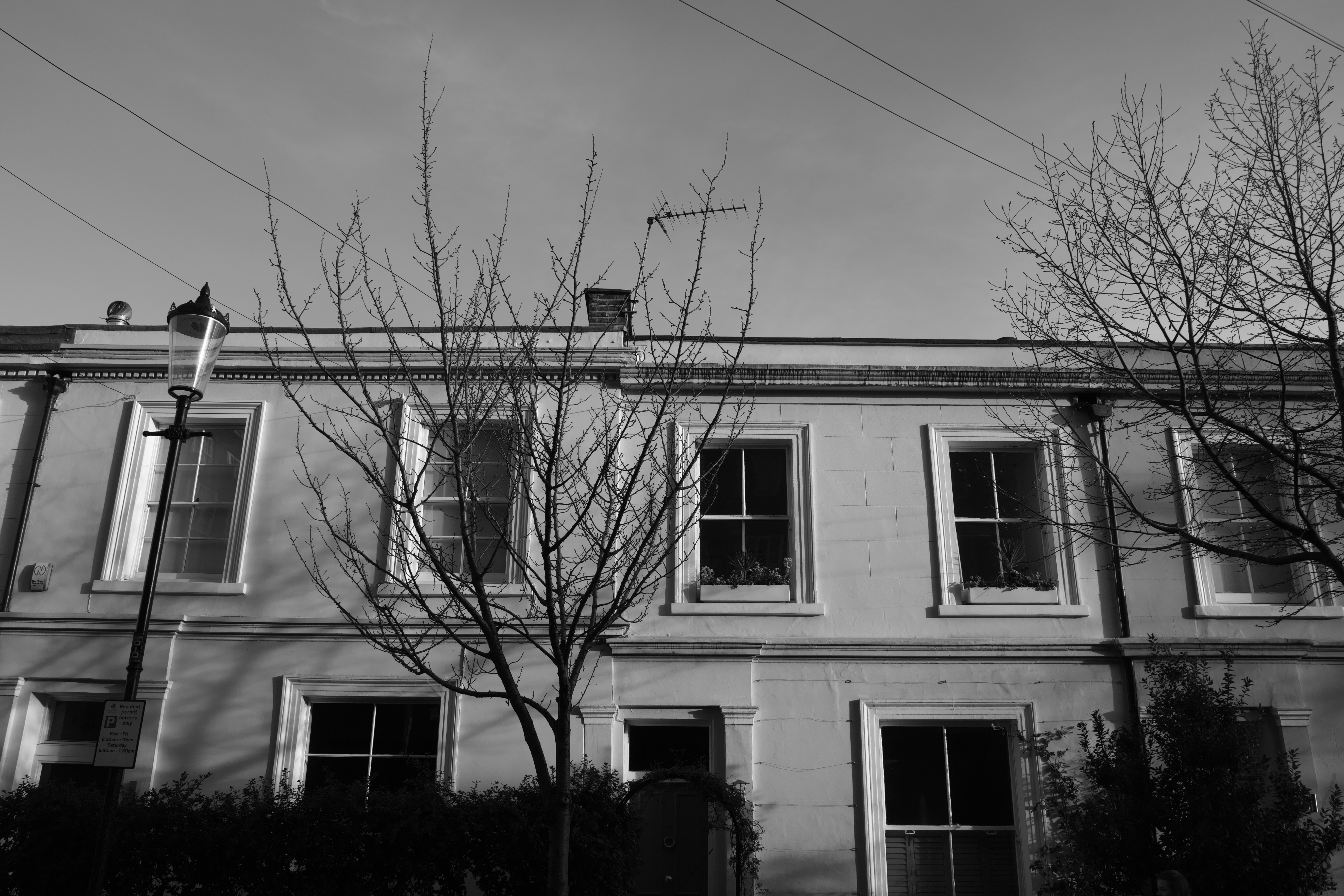 モノクロームモード