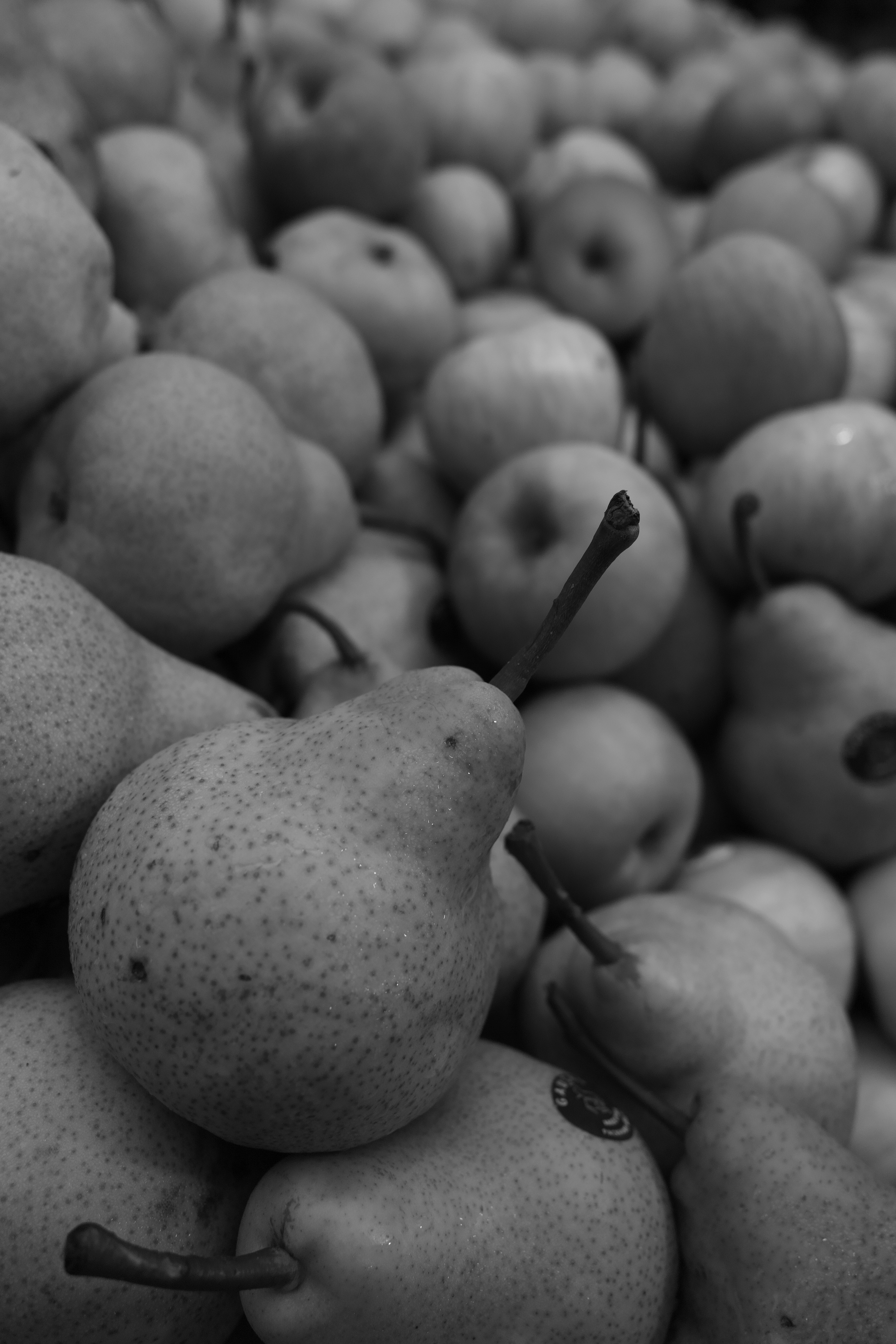 モノクロームモード（カラーミキサー：グリーン強調）