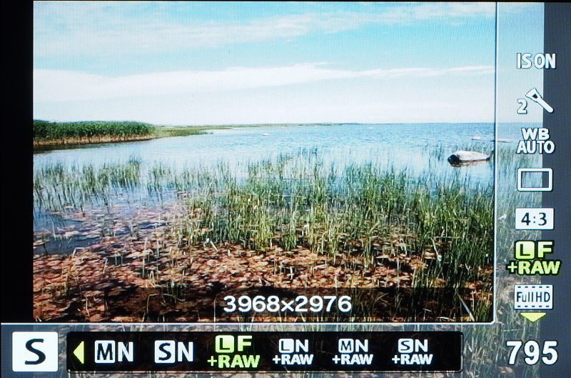 1/2.3型センサー搭載のコンパクトデジタルカメラながらRAW形式のデータも記録可能。