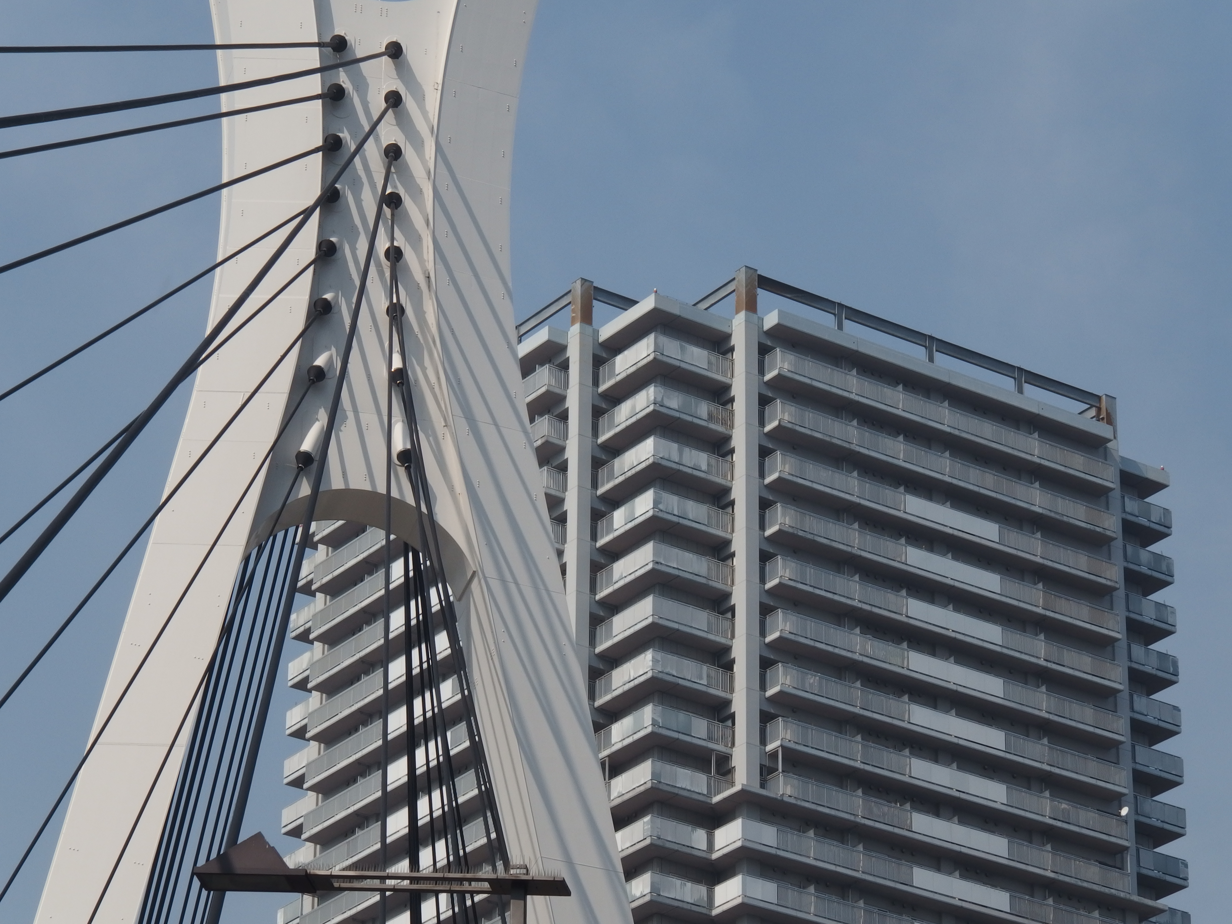 望遠端（焦点距離130mm相当）絞りF8開放での撮影。望遠端でもF8では画質的に開放絞りに劣る。