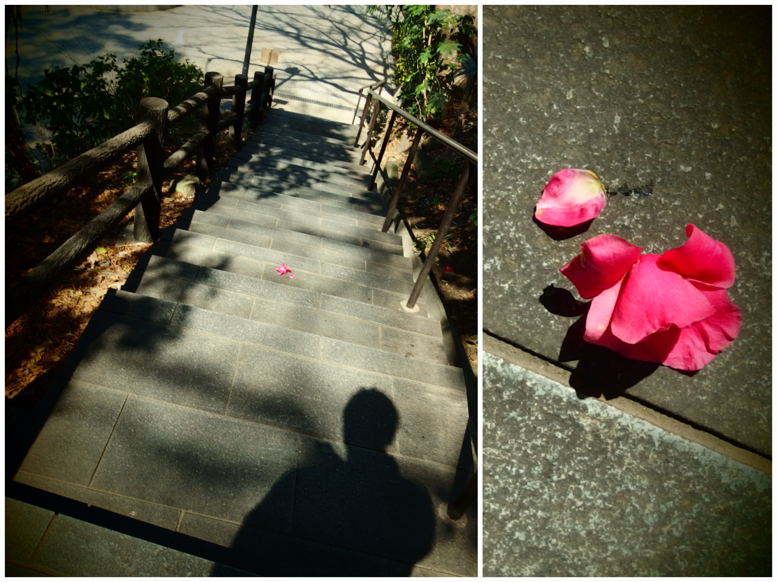 フォトストーリーのテーマ「ズームイン／アウト」の一例。寄りと引きの組み合わせタイプ。トイフォト風の効果とジオラマ風の効果を選択することができる。