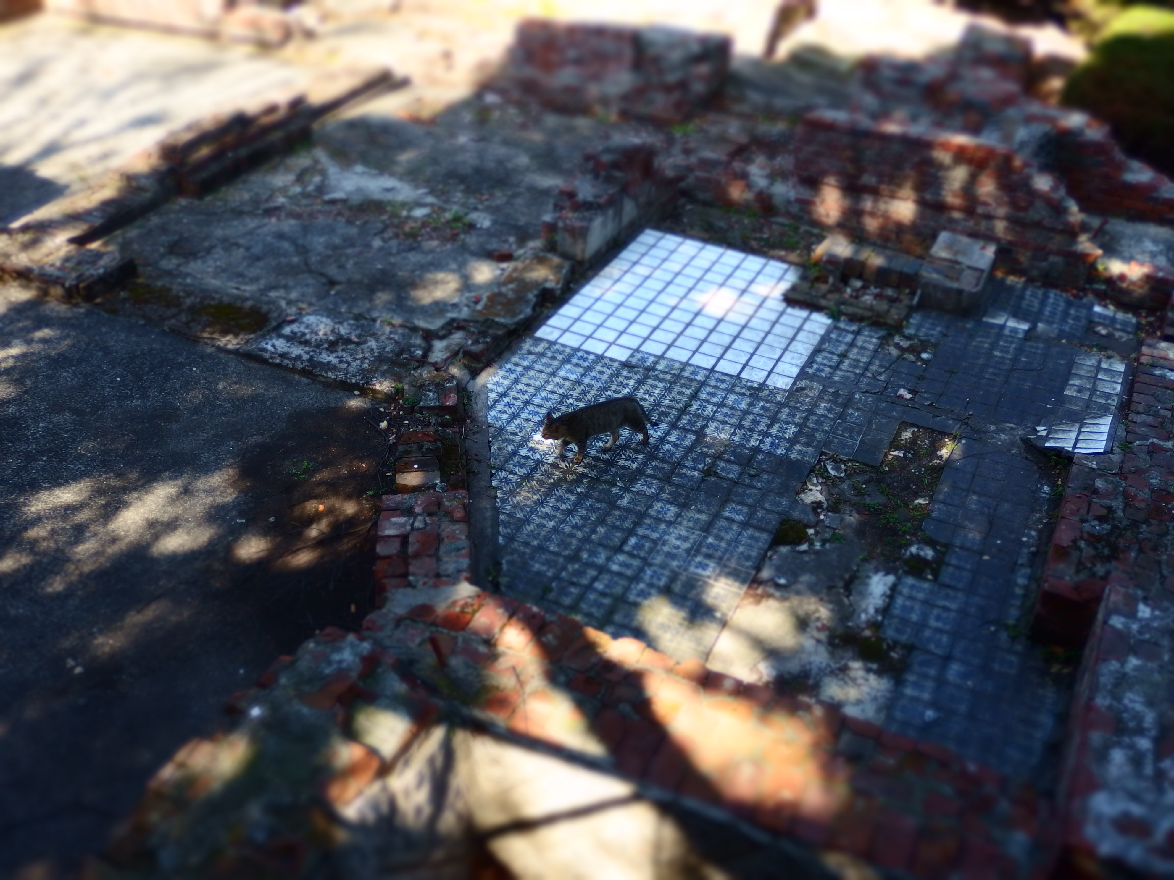 XZ-10 / 約4.2MB / 3,968×2,976 / 1/60秒 / F2 / 0EV / ISO100 / 6.8mm / アートフィルター：ジオラマ