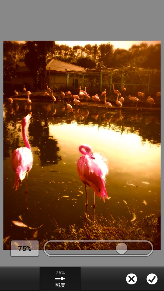 各効果をタップすると、画像の様なスライダが表示され、掛かり具合が調整できるようになっている