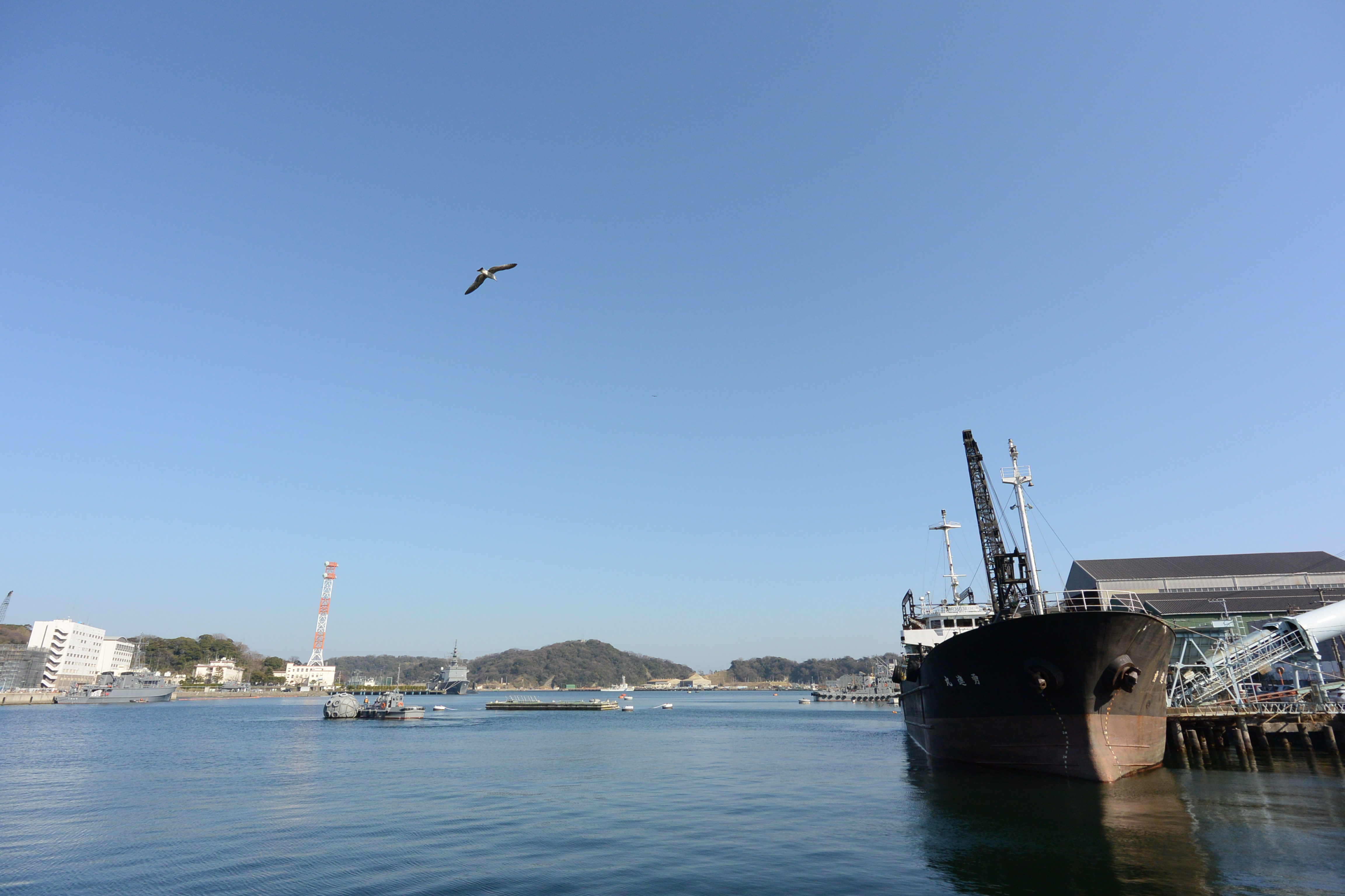 Nikon 1 V2 / 1 NIKKOR VR 6.7-13mm F3.5-5.6 / 約5.1MB / 4,608×3,072 / 1/800秒 / F5.6 / 0EV / ISO160 / 絞り優先AE / WB：オート / 6.7mm