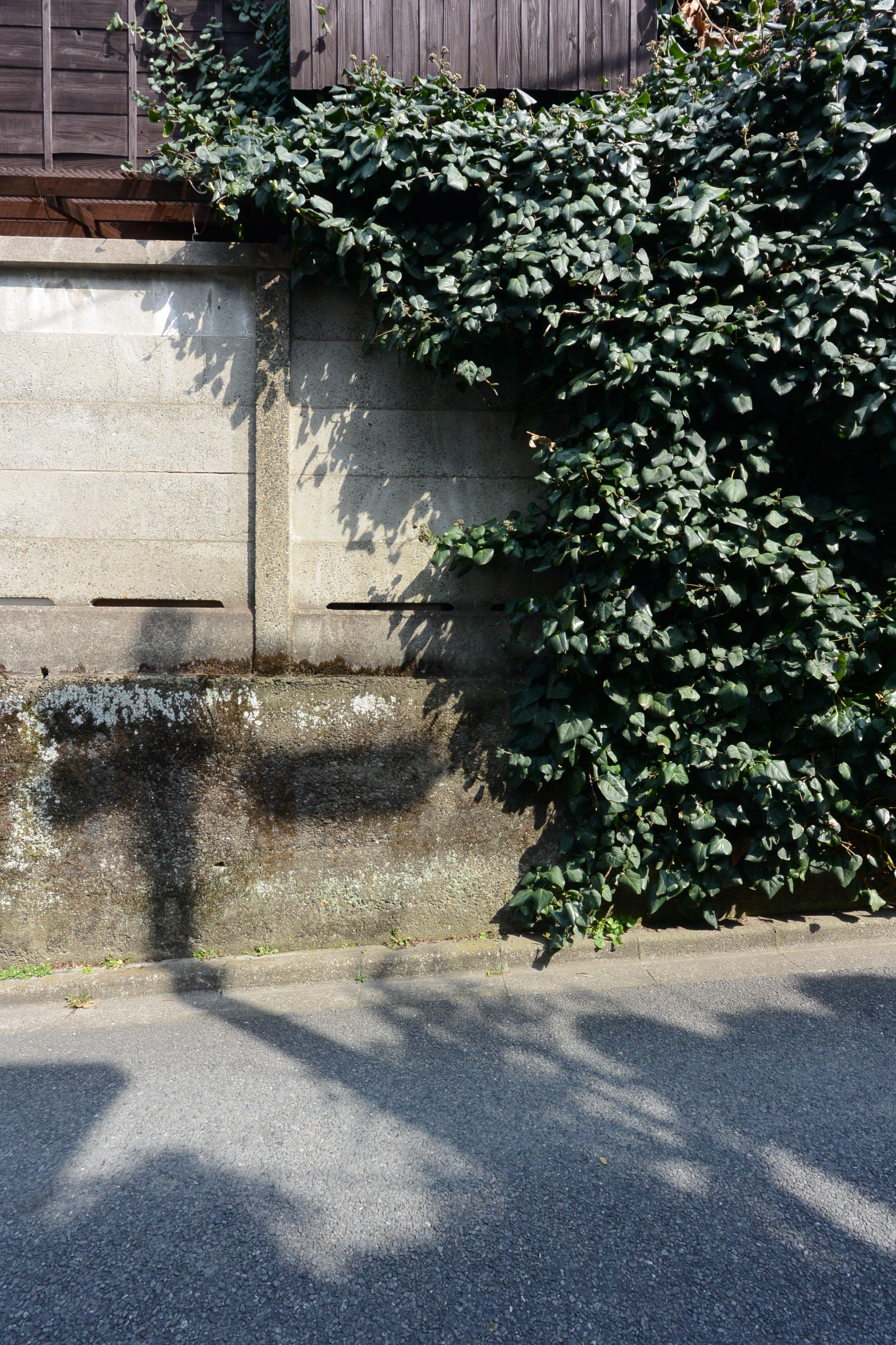 Nikon 1 V2 / 1 NIKKOR VR 6.7-13mm F3.5-5.6 / 約8.7MB / 3072x4608 / 1/125秒 / F8 / 0EV / ISO180 / 絞り優先AE / WB：オート / 6.7mm