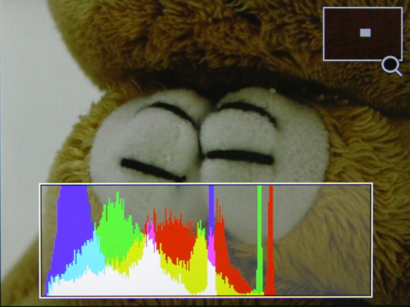 背面ダイヤルで拡大したところ