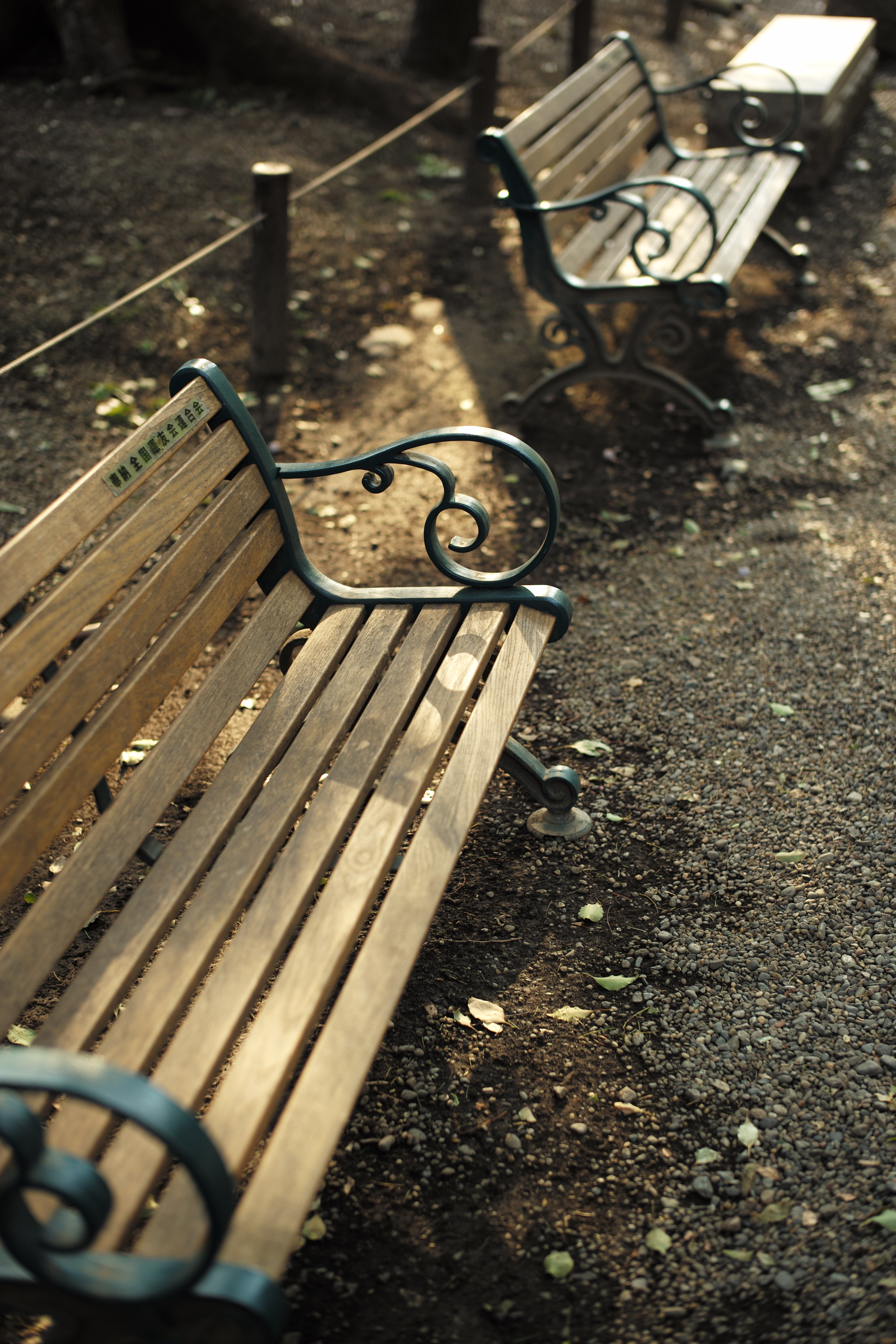 LEICA M (Typ 240) / SUMMILUX-M f1.4/50mm ASPH. / 約10.8MB / 3,968×5,952 / 1/125秒 / F1.7 / ISO200 / 50mm