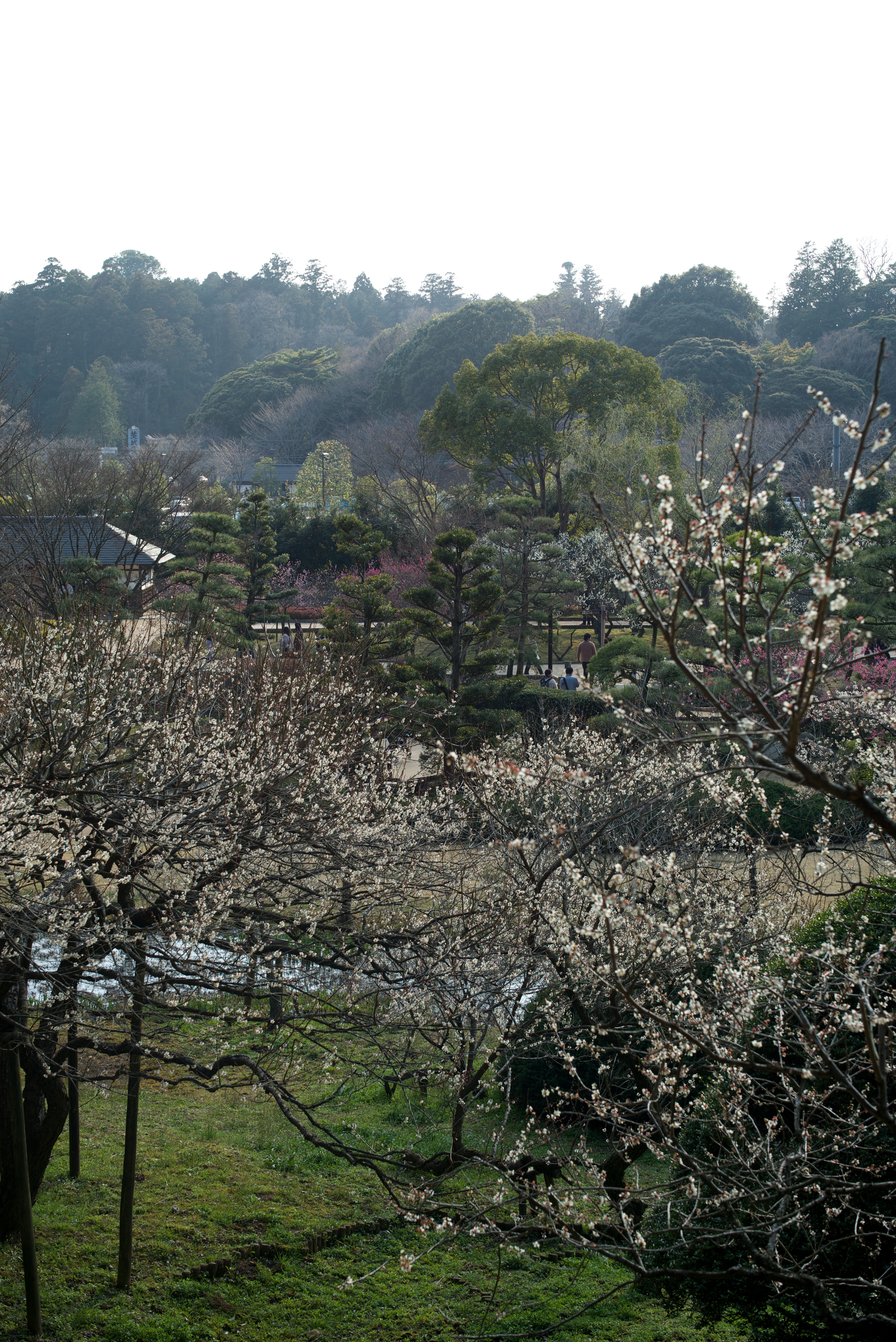 （参考）Aperture 3でストレート現像。LEICA M (Typ 240) / SUMMILUX-M f1.4/50mm ASPH. / 約9.7MB / 3984×5968 / 1/125秒 / F13 / ISO200 / 50mm