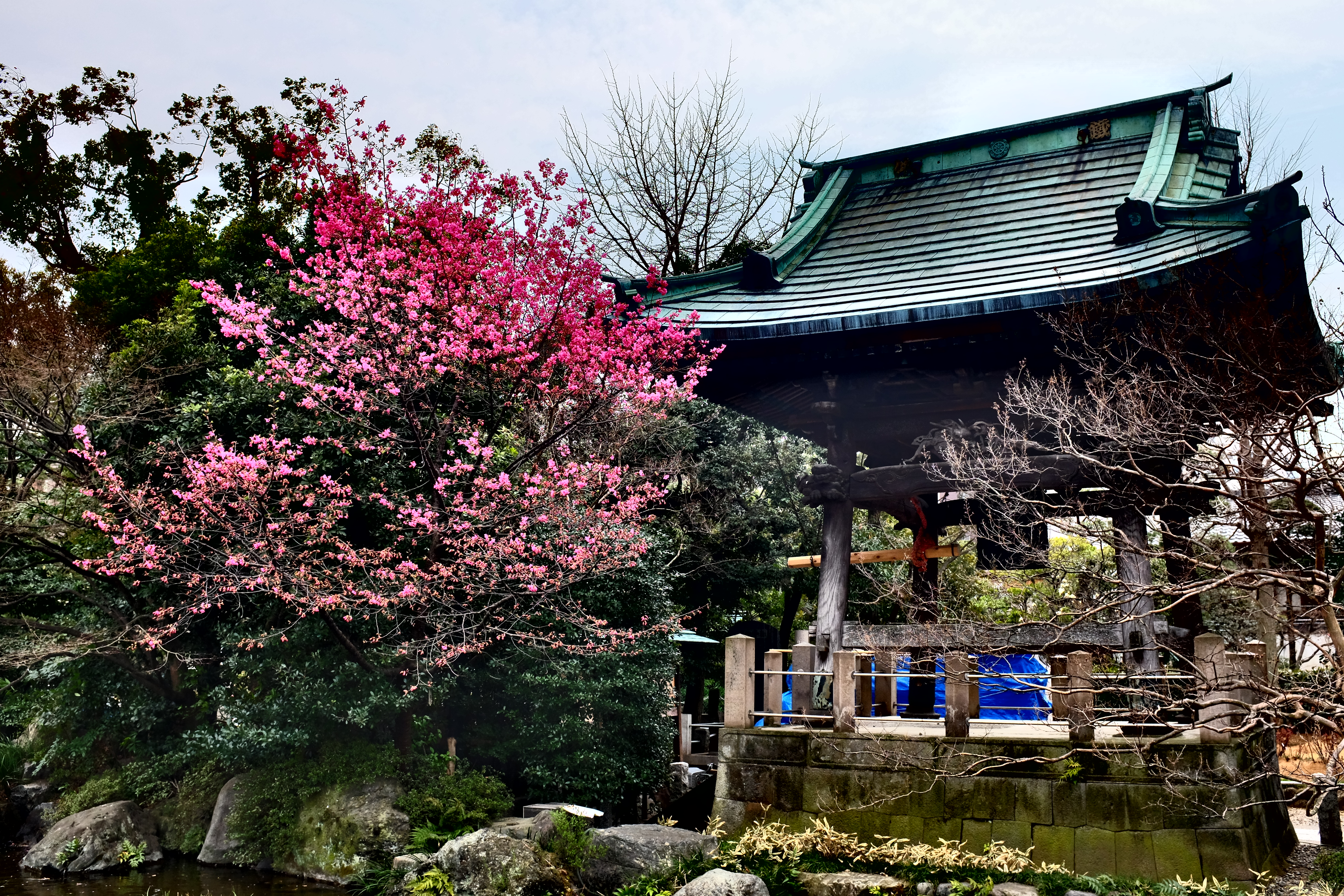 ダイナミックトーン