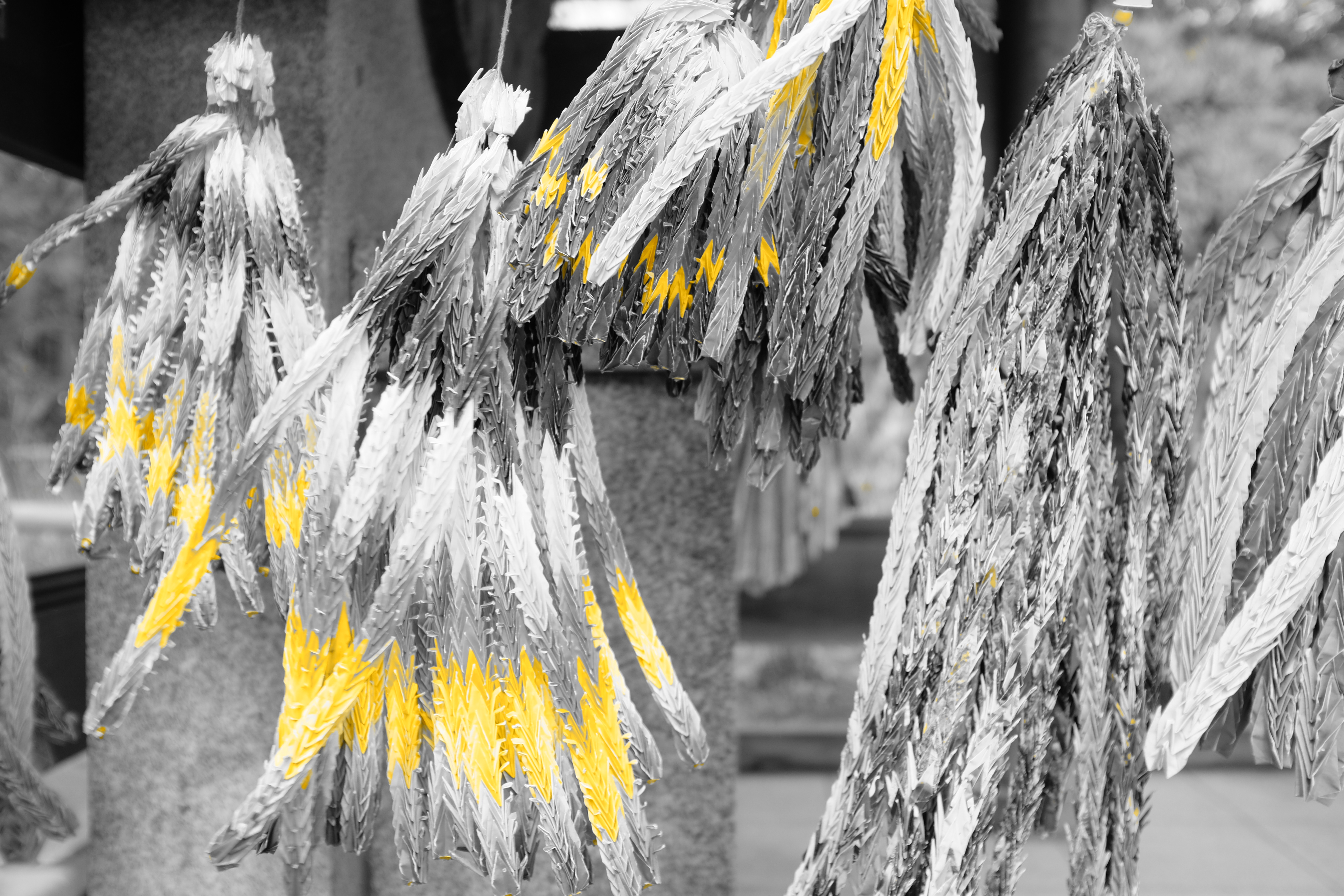 パートカラー（イエロー）