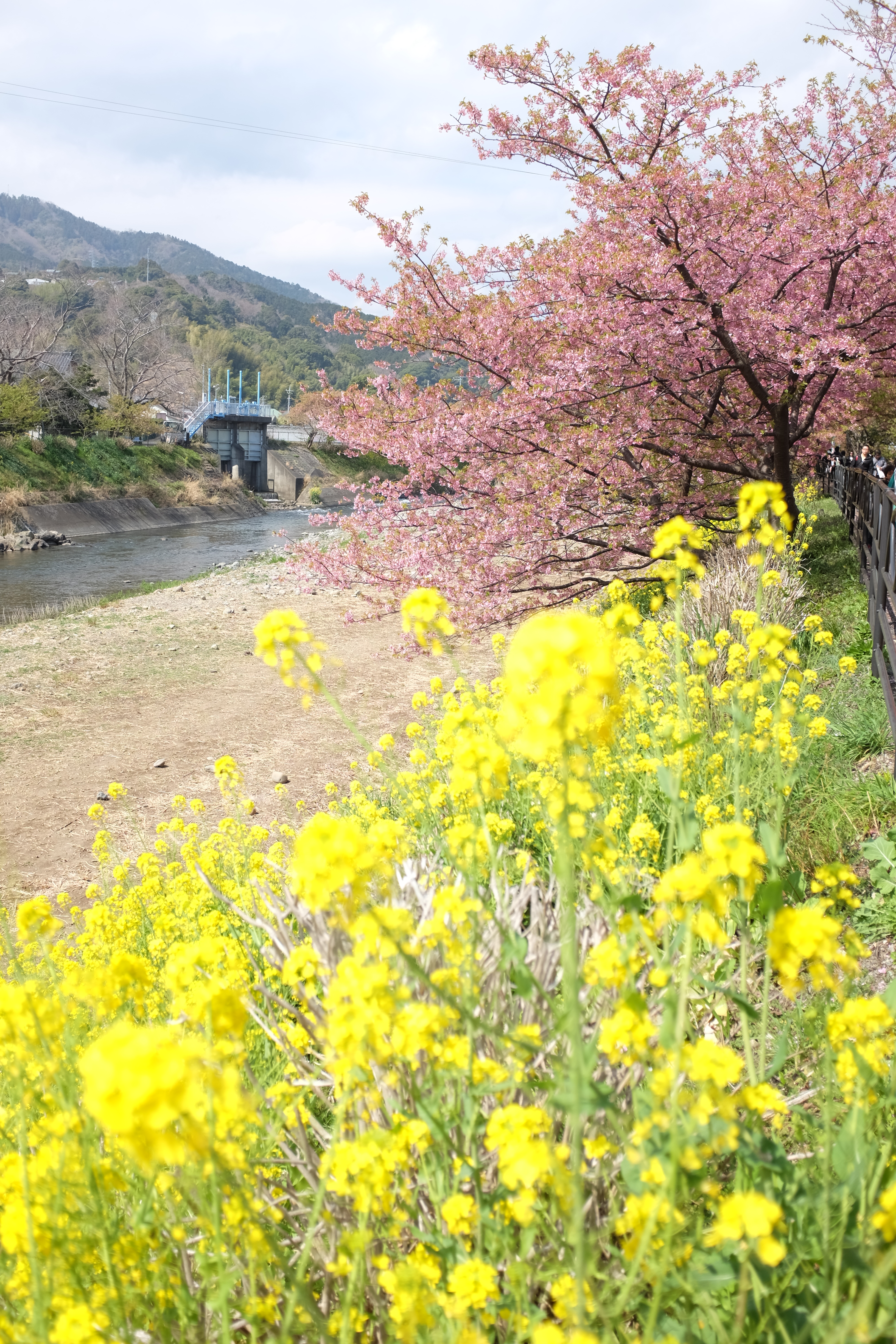 X100S / 4,896×3,264 / 1/1,250秒 / F2.8 / +0.67EV / ISO200 / WB:オート / 35mm判換算35mm相当