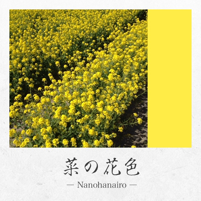 保存されるのは画像と色と伝統色名がレイアウトされた640×640ピクセルサイズのスクエア画像です