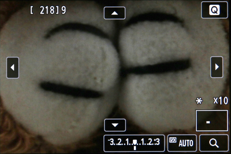 最大10倍まで拡大表示可能。拡大部分は方向キーで動かせる