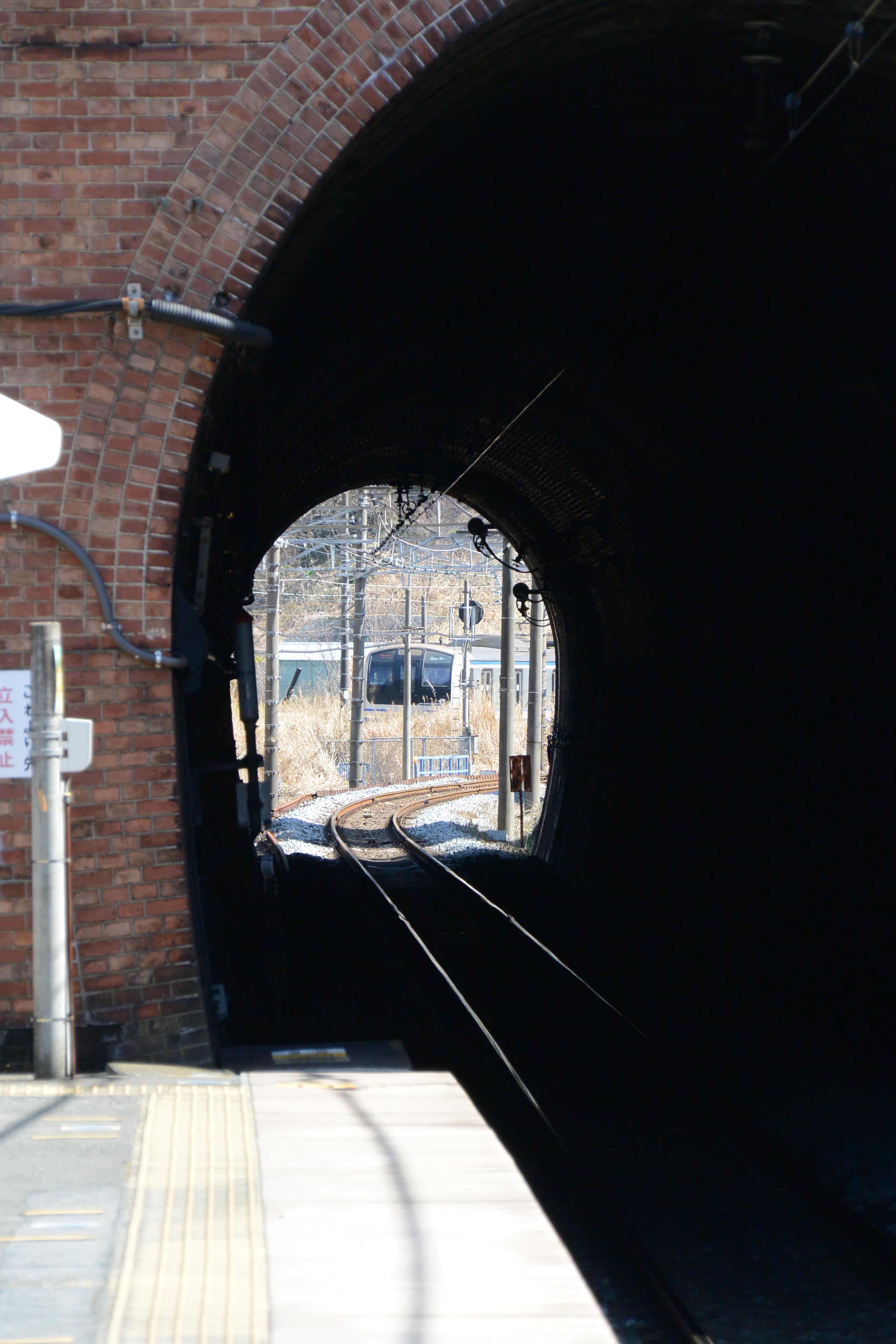 Nikon 1 V2 / 1 NIKKOR VR 10-100mm F4-5.6 / 約5.4MB / 3,072×4,608 / 1/250秒 / F5.6 / 0EV / ISO220 / 絞り優先AE / WB：オート / 87.3mm