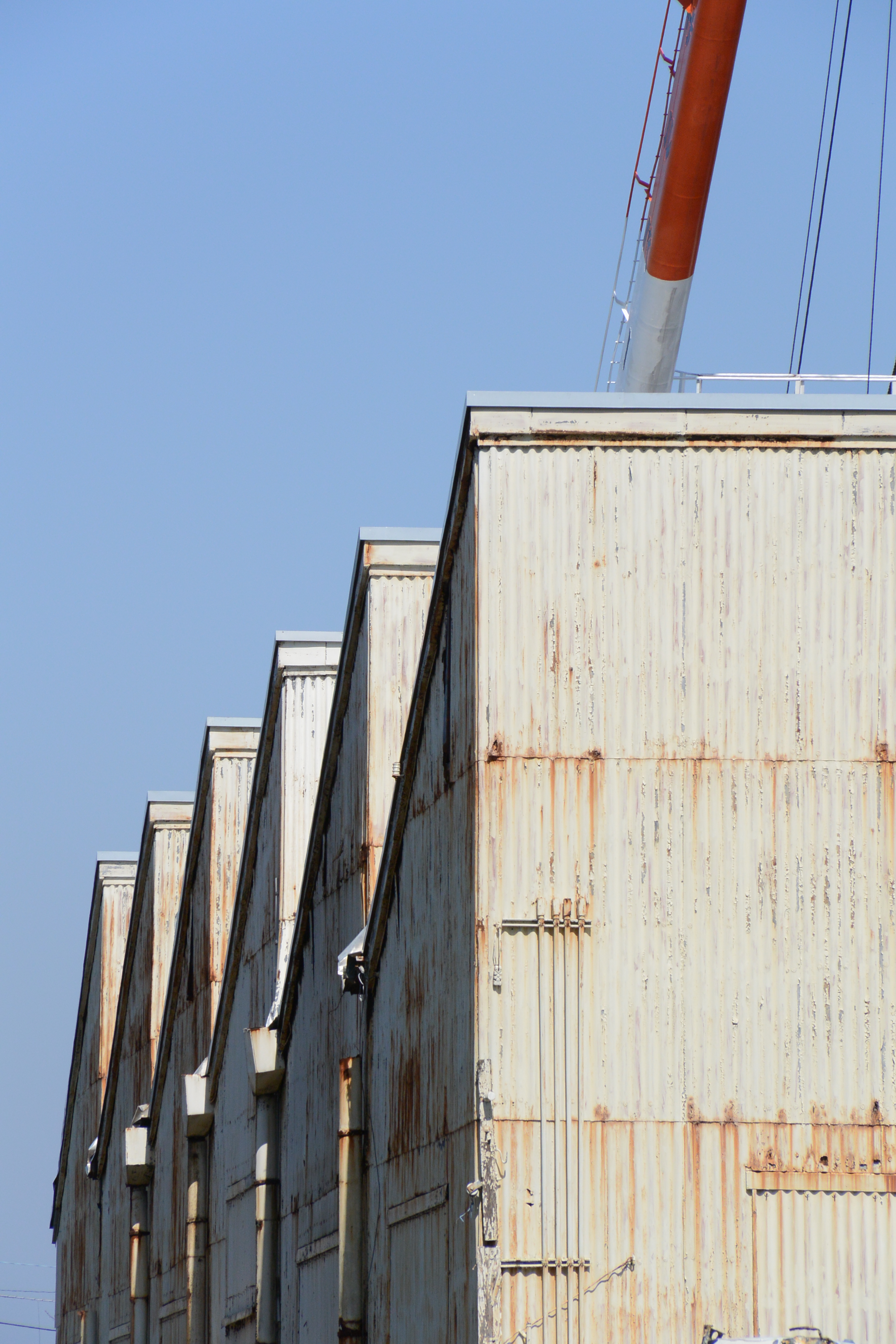 Nikon 1 V2 / 1 NIKKOR VR 10-100mm F4-5.6 / 約5.6MB / 3,072×4,608 / 1/500秒 / F8 / 0EV / ISO160 / 絞り優先AE / WB：オート / 100mm