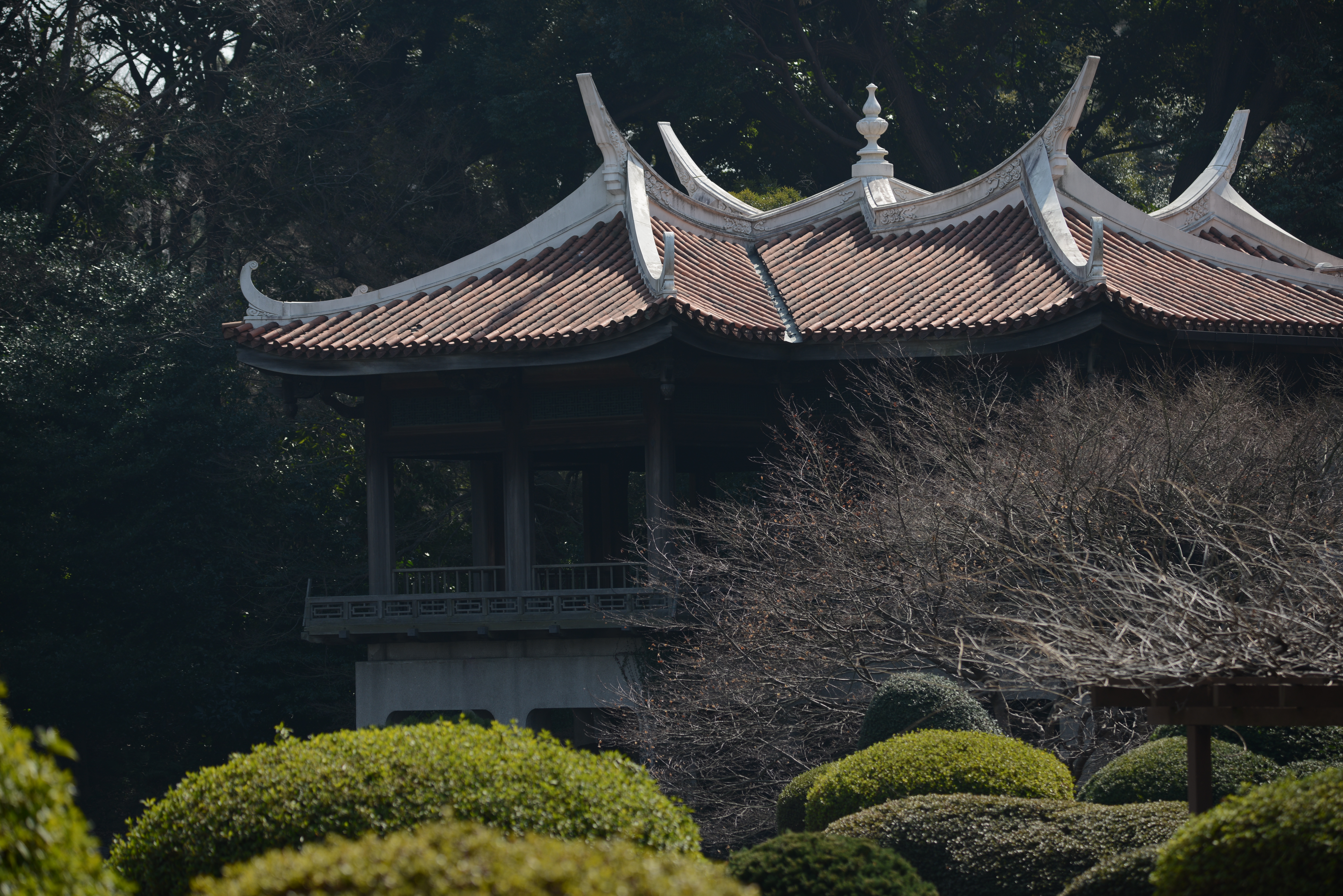 D800 / AF-S NIKKOR 80-400mm F4.5-5.6 G ED VR / 約17.6MB / 7,360×4,912 / 1/400秒 / F5.6 / -1EV / ISO100 / 絞り優先AE / WB：晴天 / 185mm