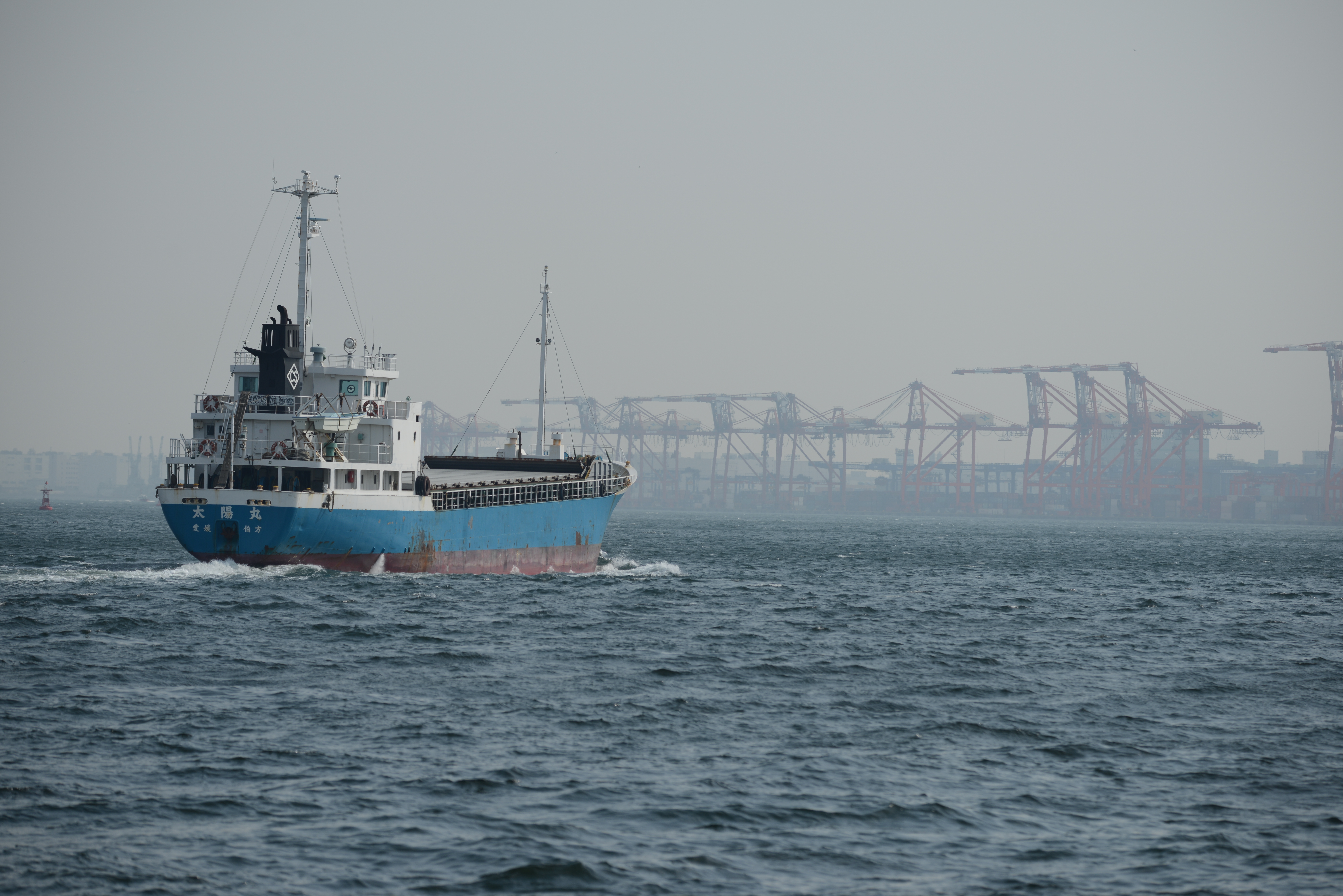 D800 / AF-S NIKKOR 80-400mm F4.5-5.6 G ED VR / 約12MB / 7,360×4,912 / 1/1,000秒 / F5.6 / -0.3EV / ISO100 / 絞り優先AE / WB：晴天 / 200mm