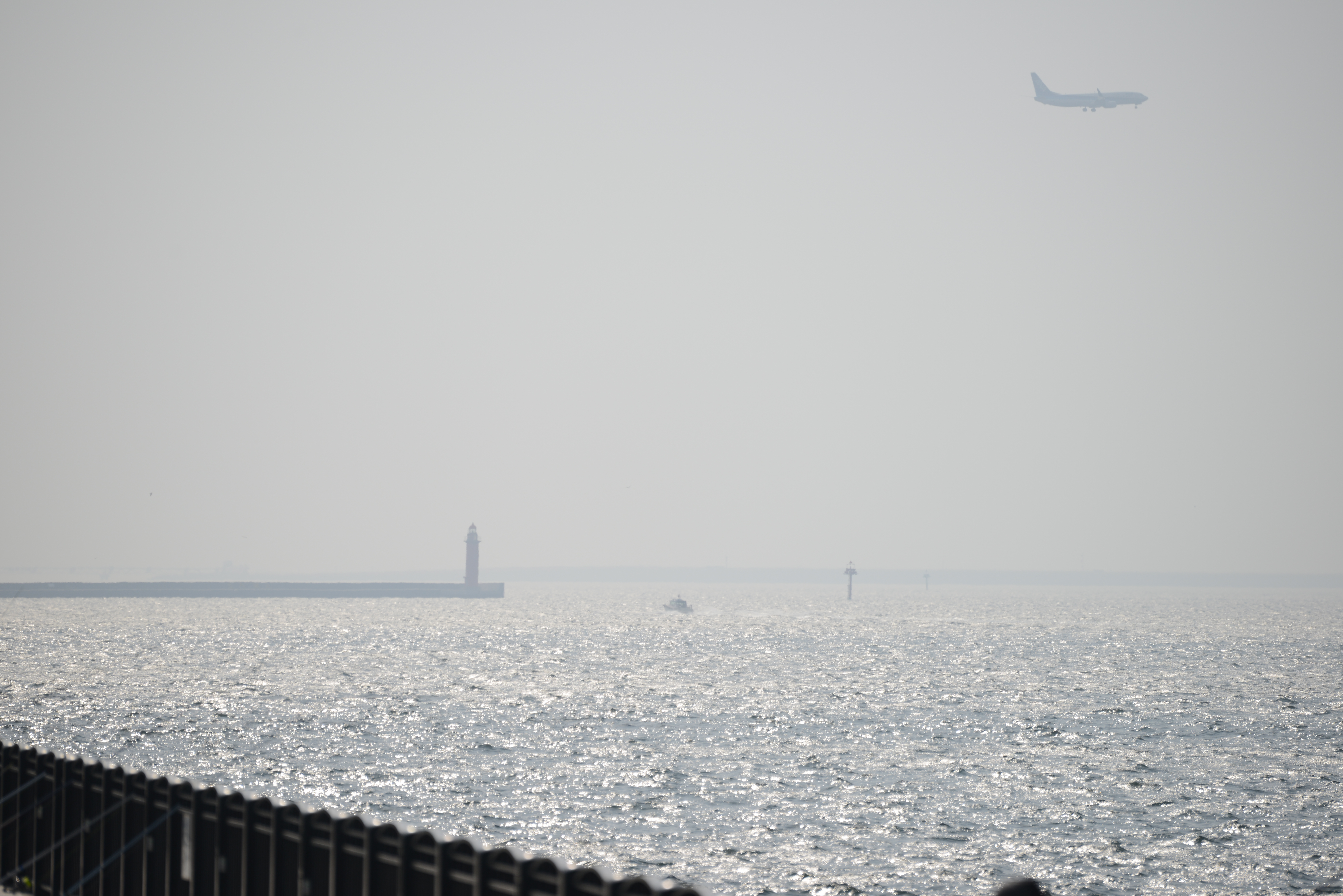 D800 / AF-S NIKKOR 80-400mm F4.5-5.6 G ED VR / 約11.9MB / 7,360×4,912 / 1/1,250秒 / F5.6 / +0.3EV / ISO100 / 絞り優先AE / WB：オート / 320mm