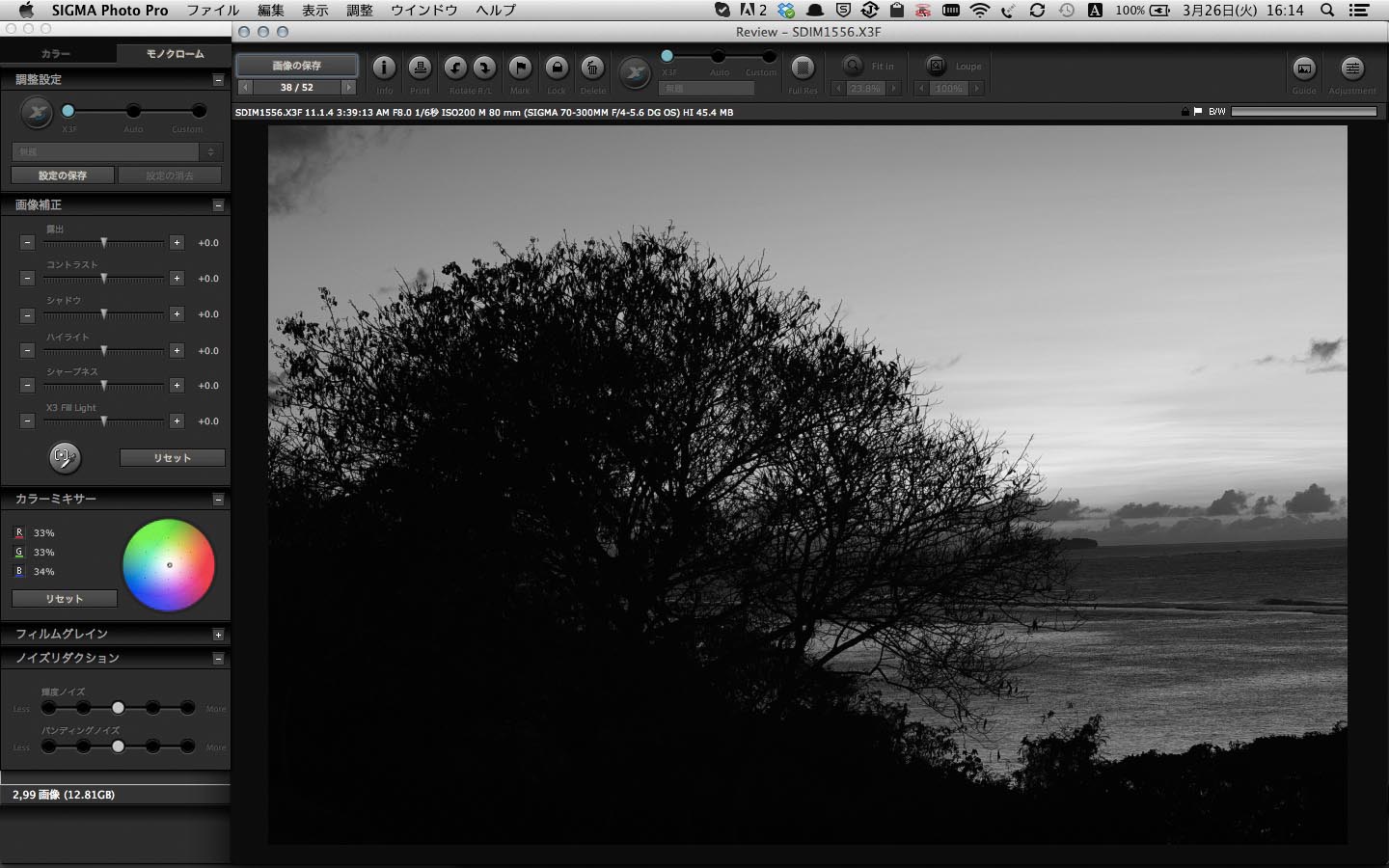 SIGMA Photo Pro 5.5.1のモノクロームモード
