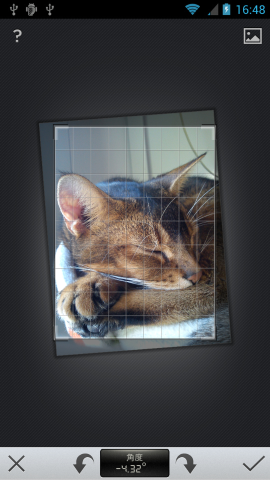 「STRAIGHTEN」では、角度の調整や回転が行なえる