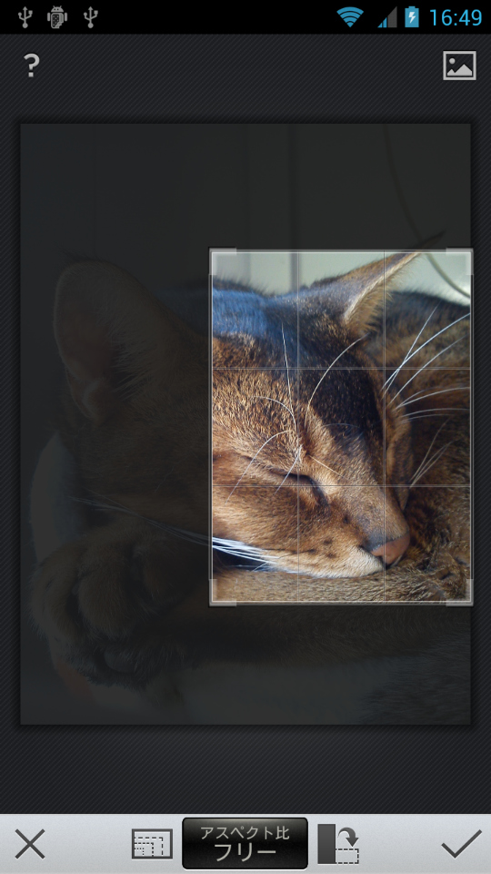 「CROP」では、ピンチ操作とスワイプ操作でトリミング範囲を指定できる