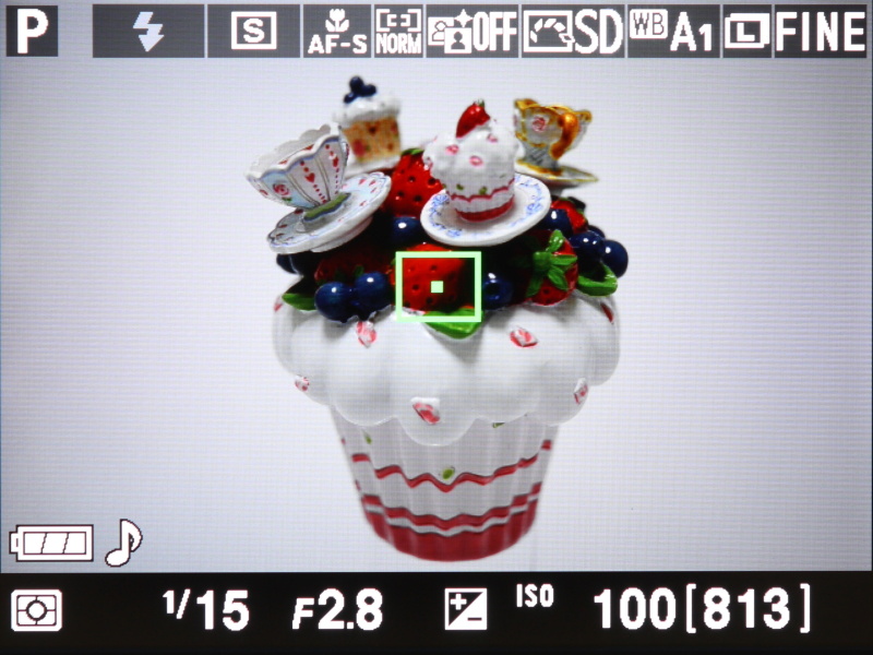 撮影時の液晶モニターの表示。「情報表示あり」