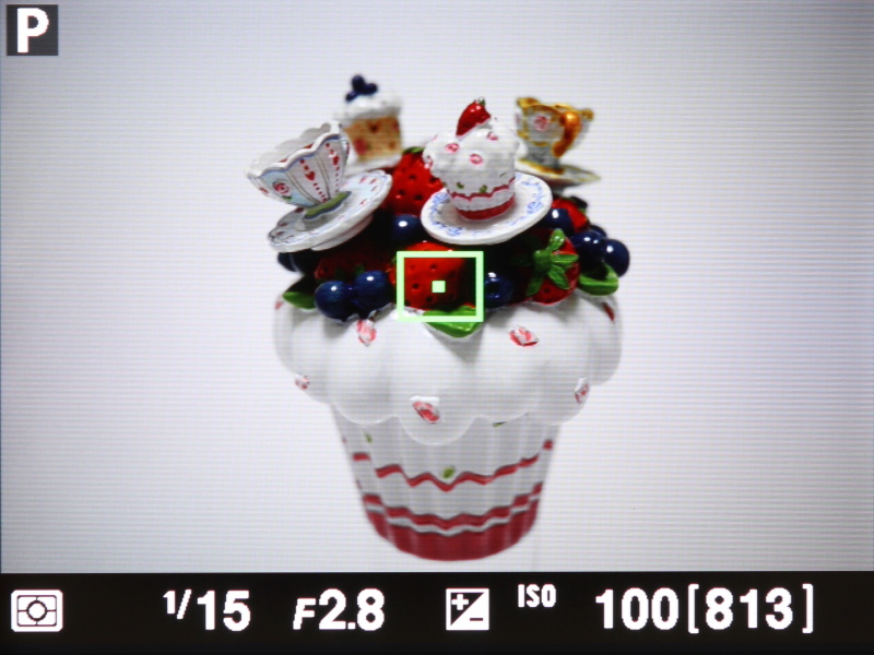 撮影時の液晶モニターの表示。「情報表示なし」