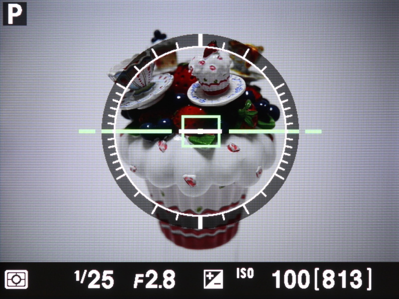 撮影時の液晶モニターの表示。「水準器」