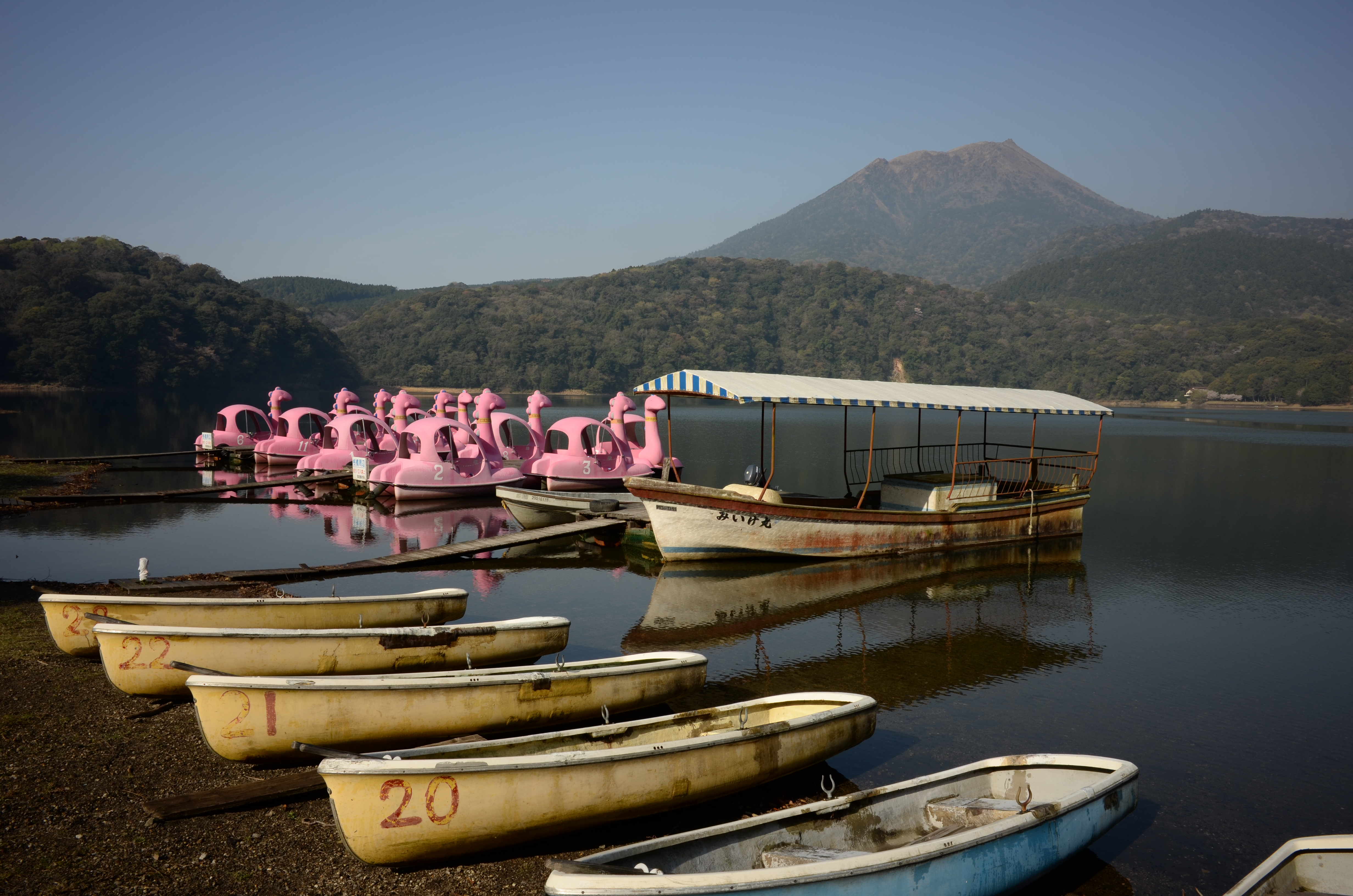 SD スタンダード