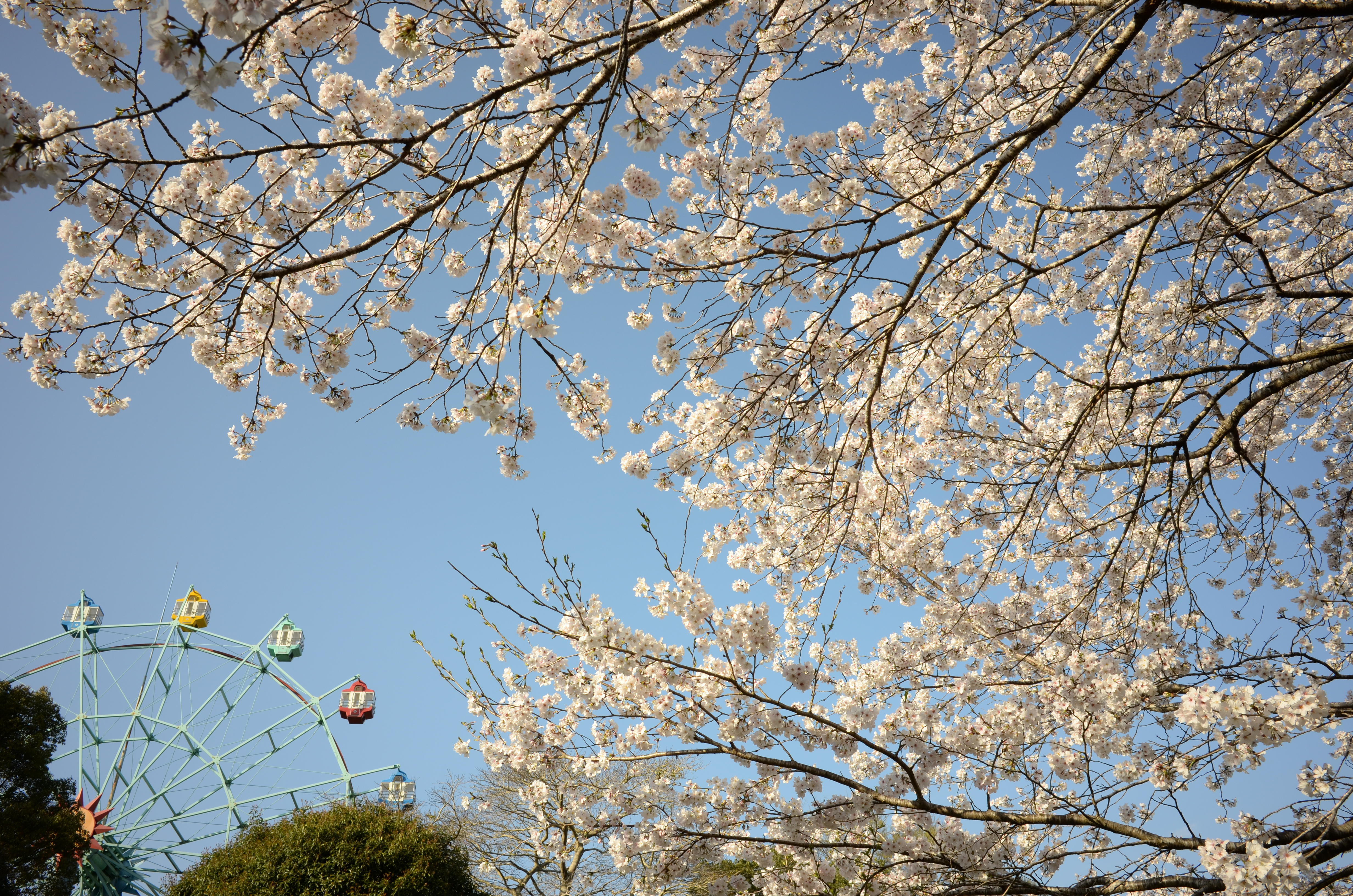 COOLPIX A / 約7.9MB / 4,928×3,264 / 1/160秒 / F8 / +0.7EV / ISO100