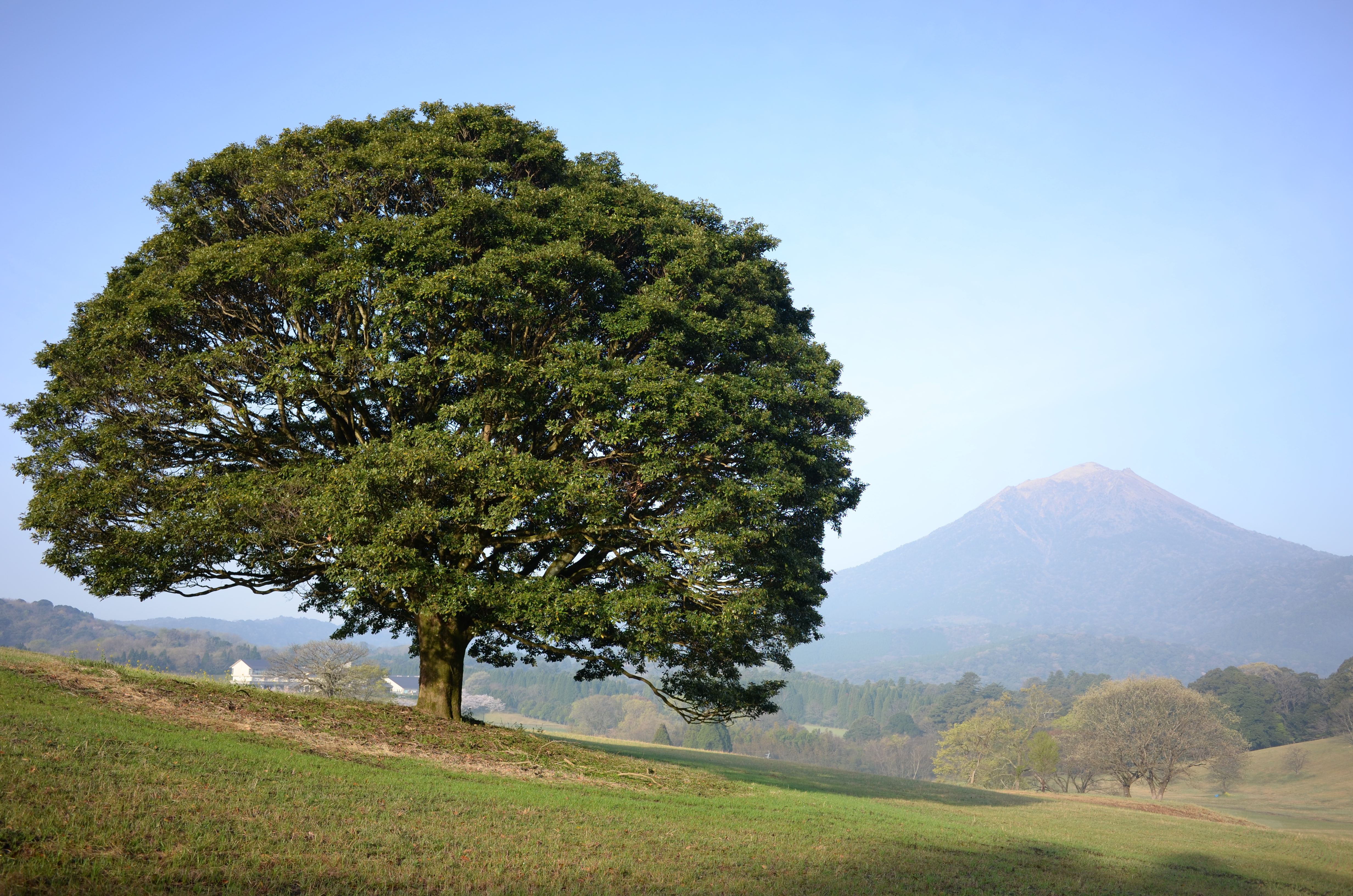 COOLPIX A / 約8MB / 4,928×3,264 / 1/400秒 / F4 / 0EV / ISO100