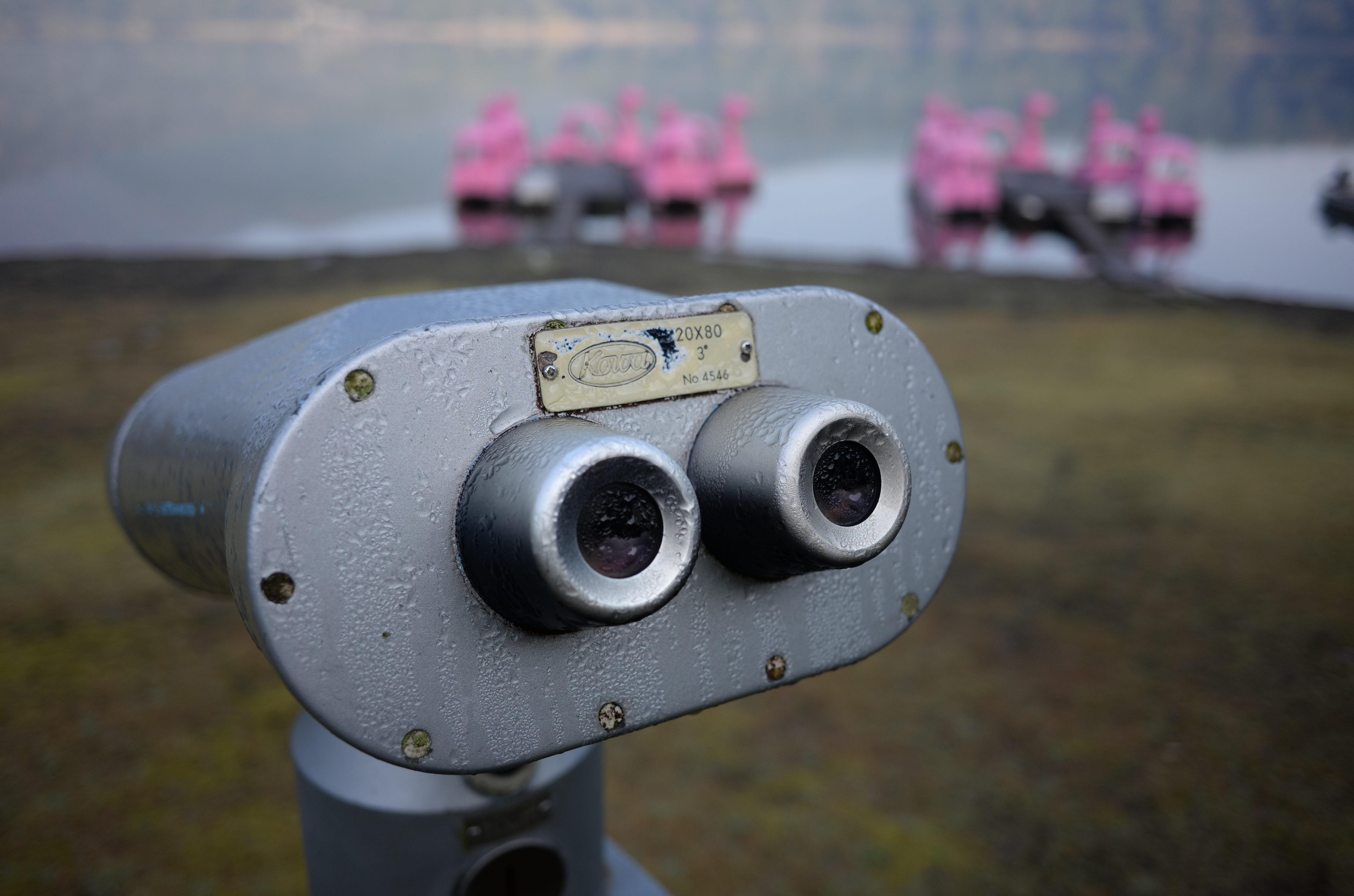 COOLPIX A / 約4.3MB / 4,928×3,264 / 1/640秒 / F2.8 / -0.3EV / ISO100