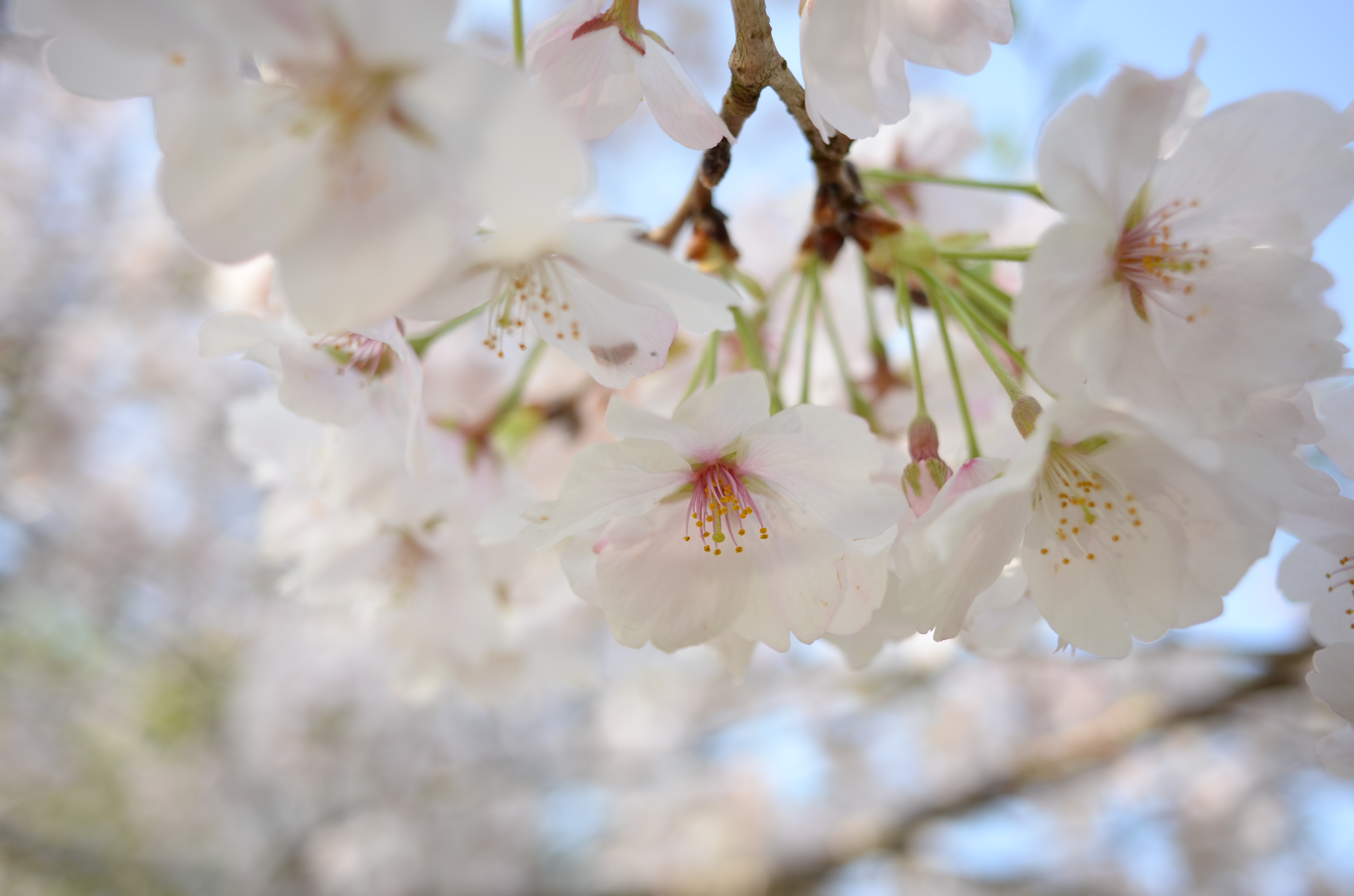 COOLPIX A / 約3.1MB / 4,928×3,264 / 1/320秒 / F2.8 / +1.3EV / ISO100