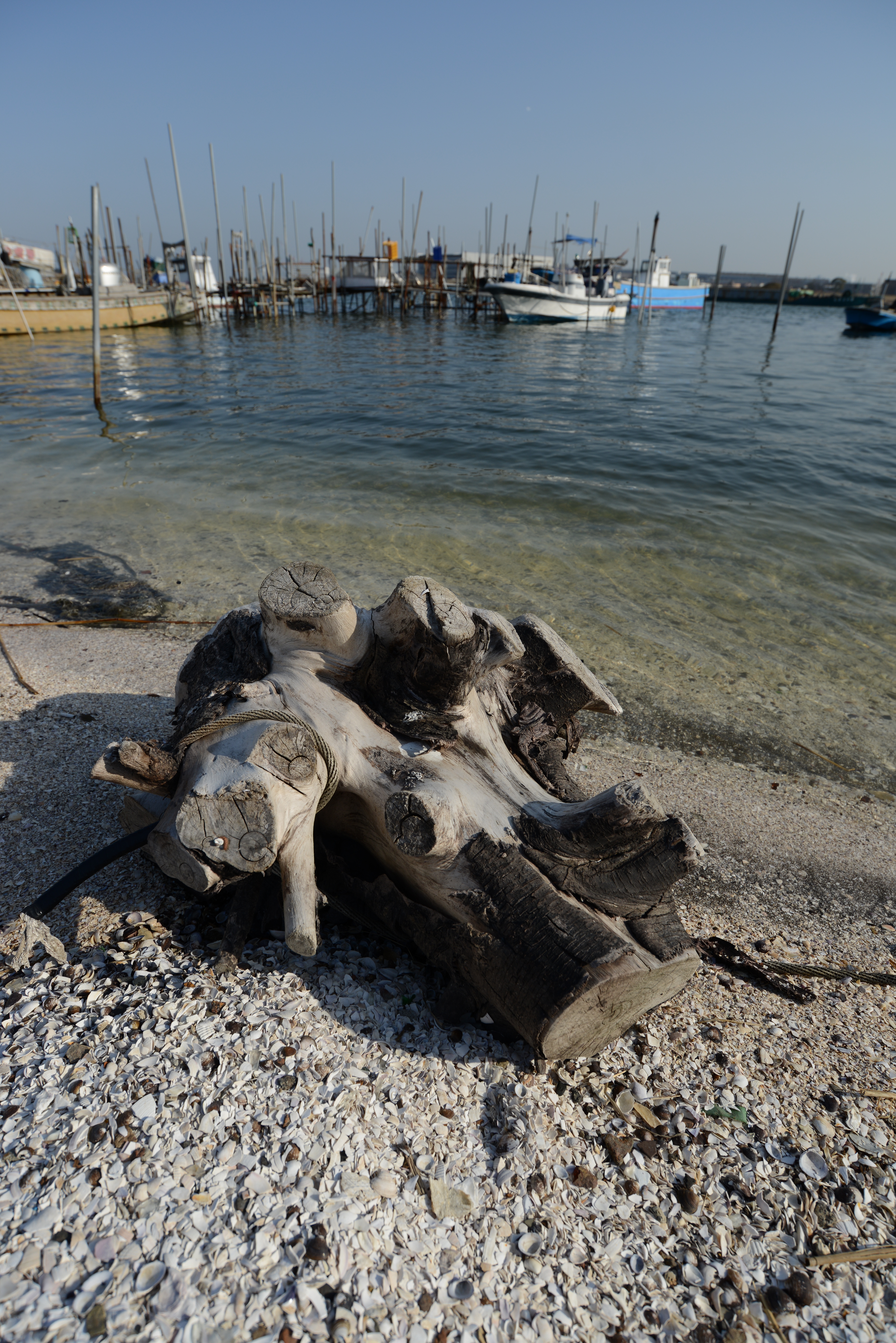 D800 / AF-S NIKKOR 18-35mm F3.5-4.5 G ED / 約17.6MB / 4,912×7,360 / 1/1000秒 / F5.6 / -0.3EV / ISO100 / 絞り優先AE / WB：オート / 18mm