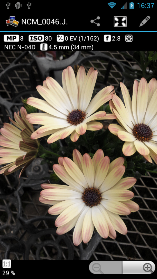 撮影時のパラメータが画像の再生中に確認できる。画面左下には、表示比率が表示されている