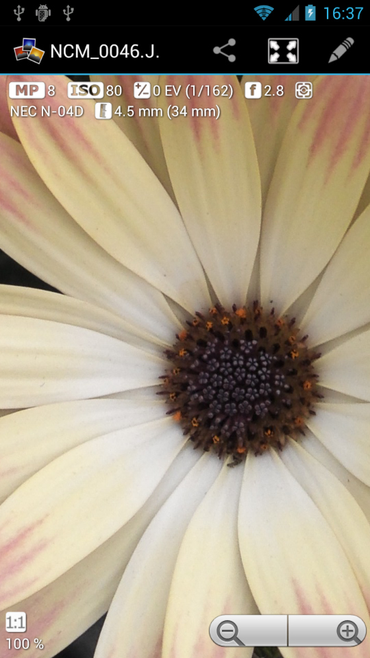 画面をダブルタップすると、100％表示になり、再度ダブルタップすることで全体表示となる