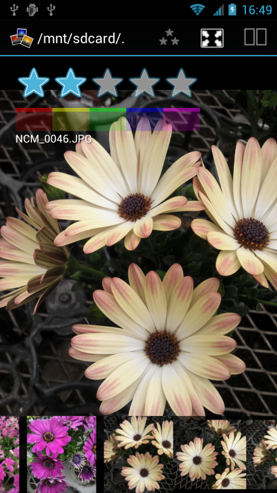 レーティング機能。★〜★★★★★まで設定可能