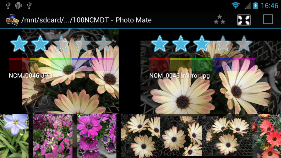 1画面で2つの画像を表示可能。左右を比較しながらレーティングできる