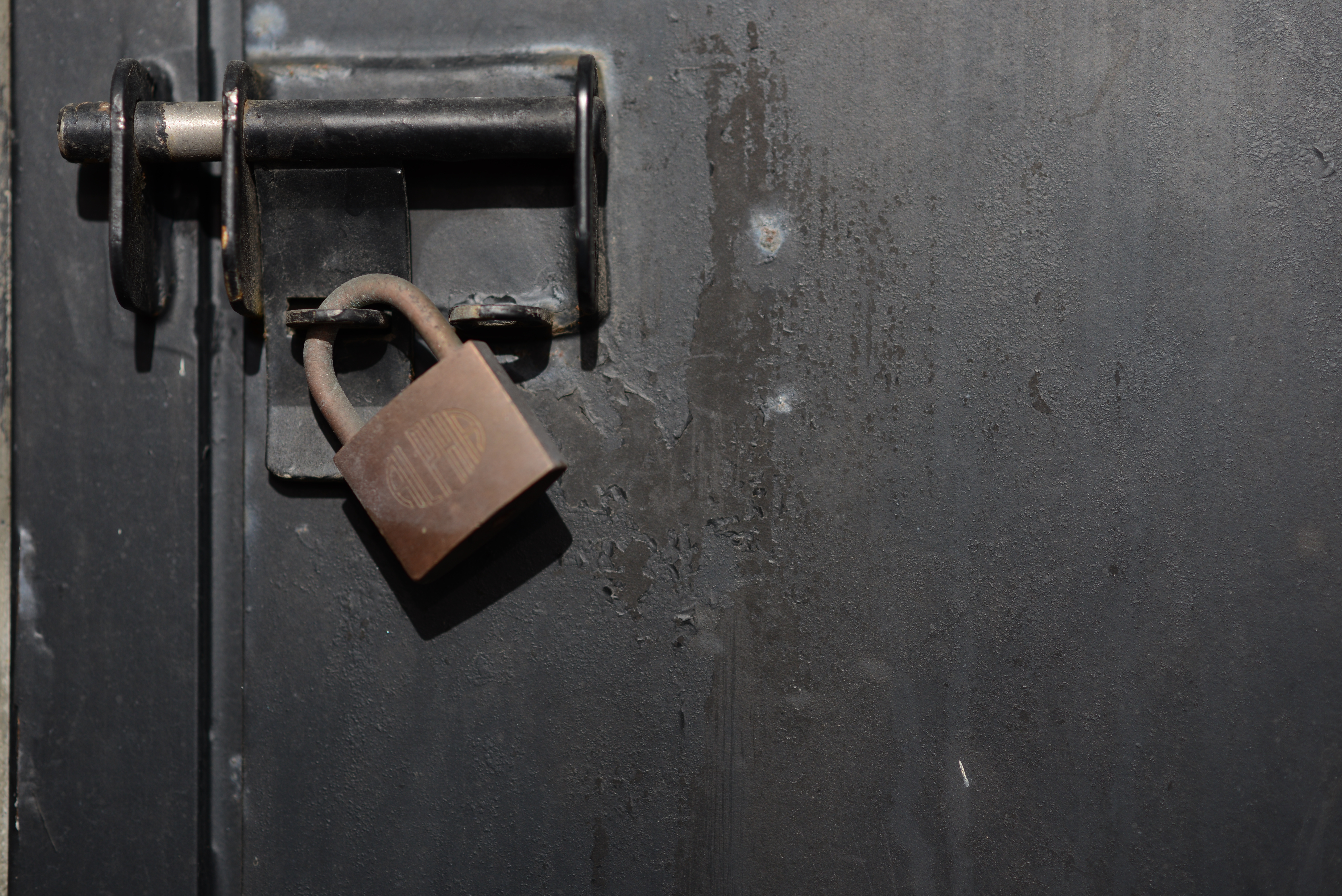 最短撮影距離は0.8m。F1.4 GやF1.8 Dは0.85mだから少しだけスペックアップ。たいして違わないけど。絞り優先AE / 6,016×4,016 / 1/640秒 / F2.5 / －1.3EV / ISO100 / WB：晴天 / ヴィネットコントロール：しない