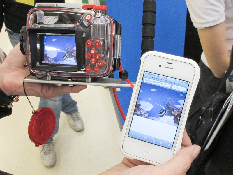 スマートフォンに画像を転送したところ。