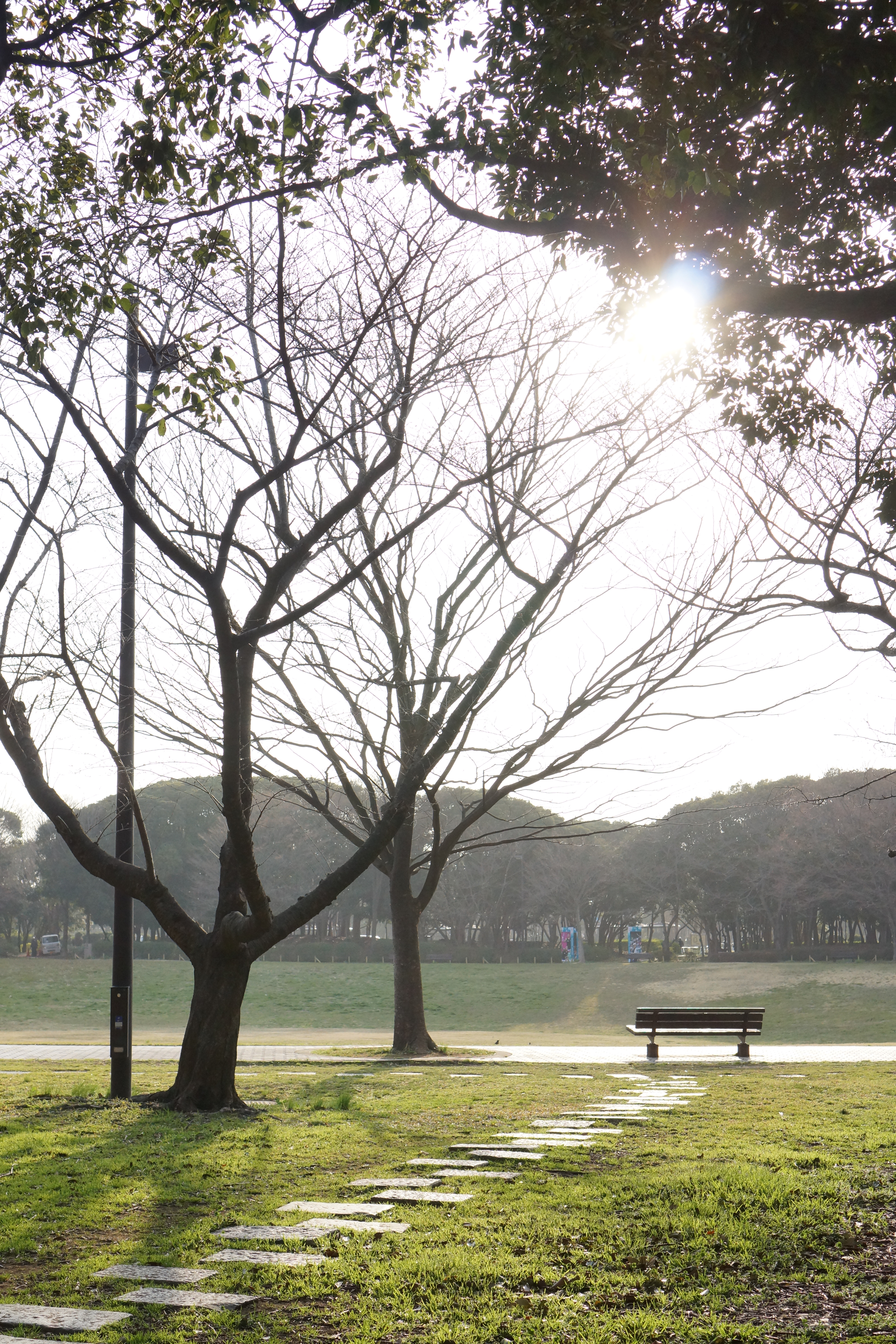 NEX-7 / E 35mm F1.8 OSS / 約10.7MB / 4,000×6,000 / 1/1,250秒 / F5.6 / +2.3EV / ISO800 / 絞り優先AE / WB：オート / 35mm