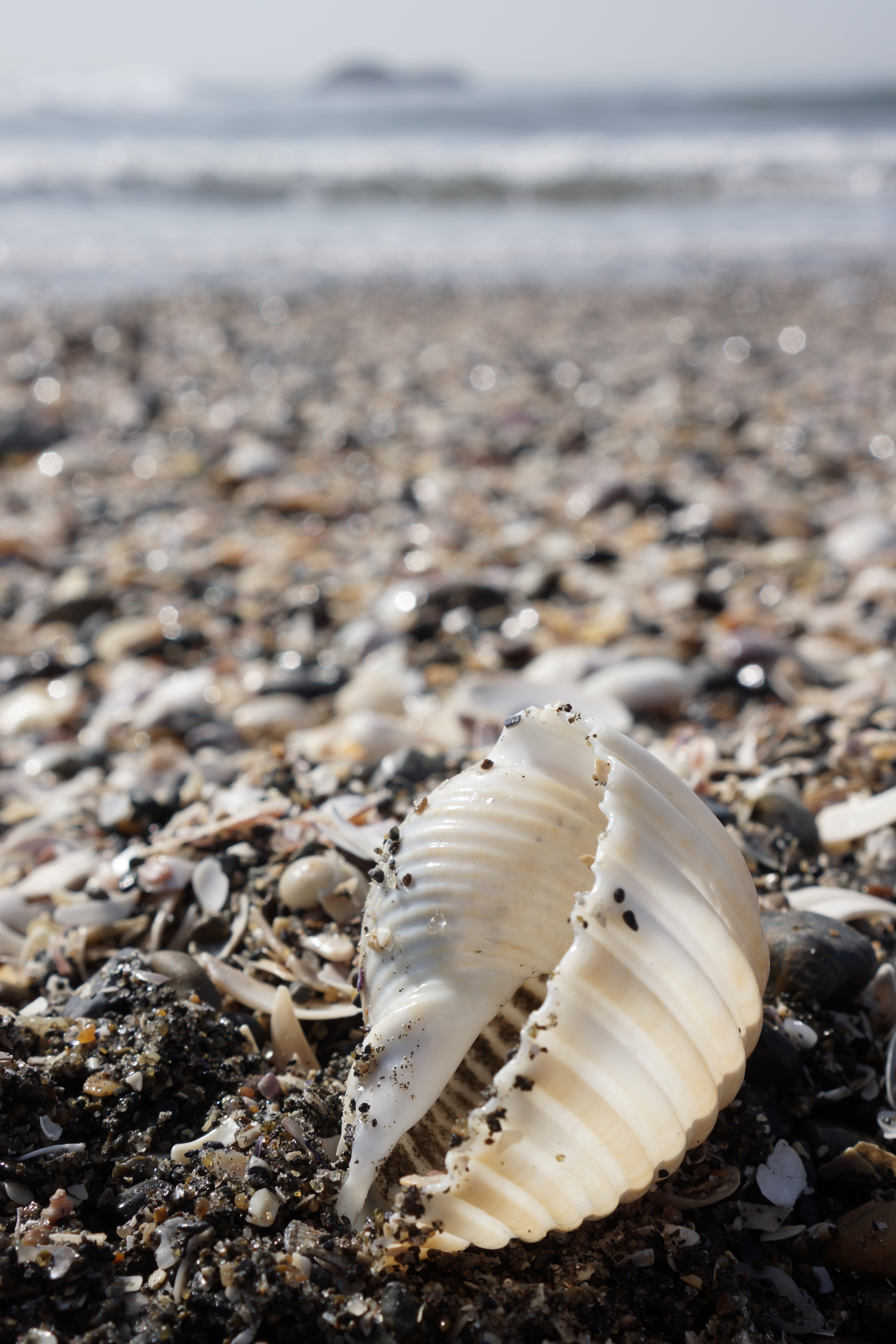 NEX-7 / E 35mm F1.8 OSS / 約4.9MB / 4,000×6,000 / 1/320秒 / F8 / +0.7EV / ISO100 / 絞り優先AE / WB：オート / 35mm